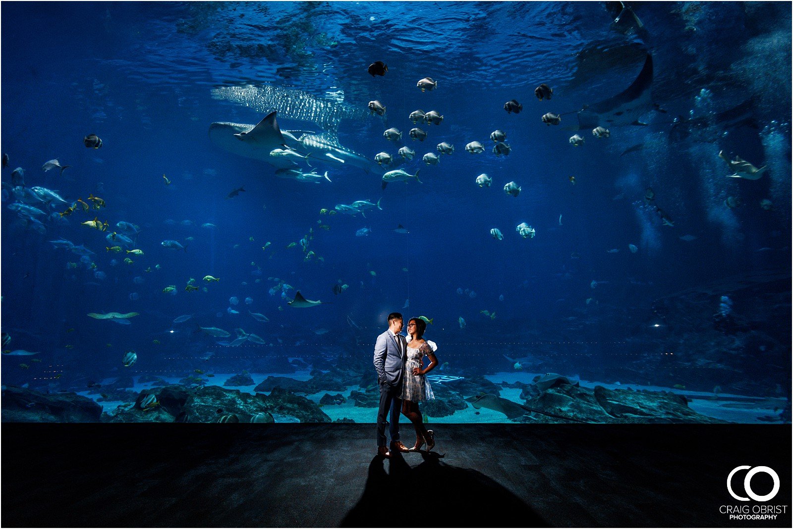 The Georgia Aquarium Atlanta Skyline Engagement Portraits Pictures_0003.jpg