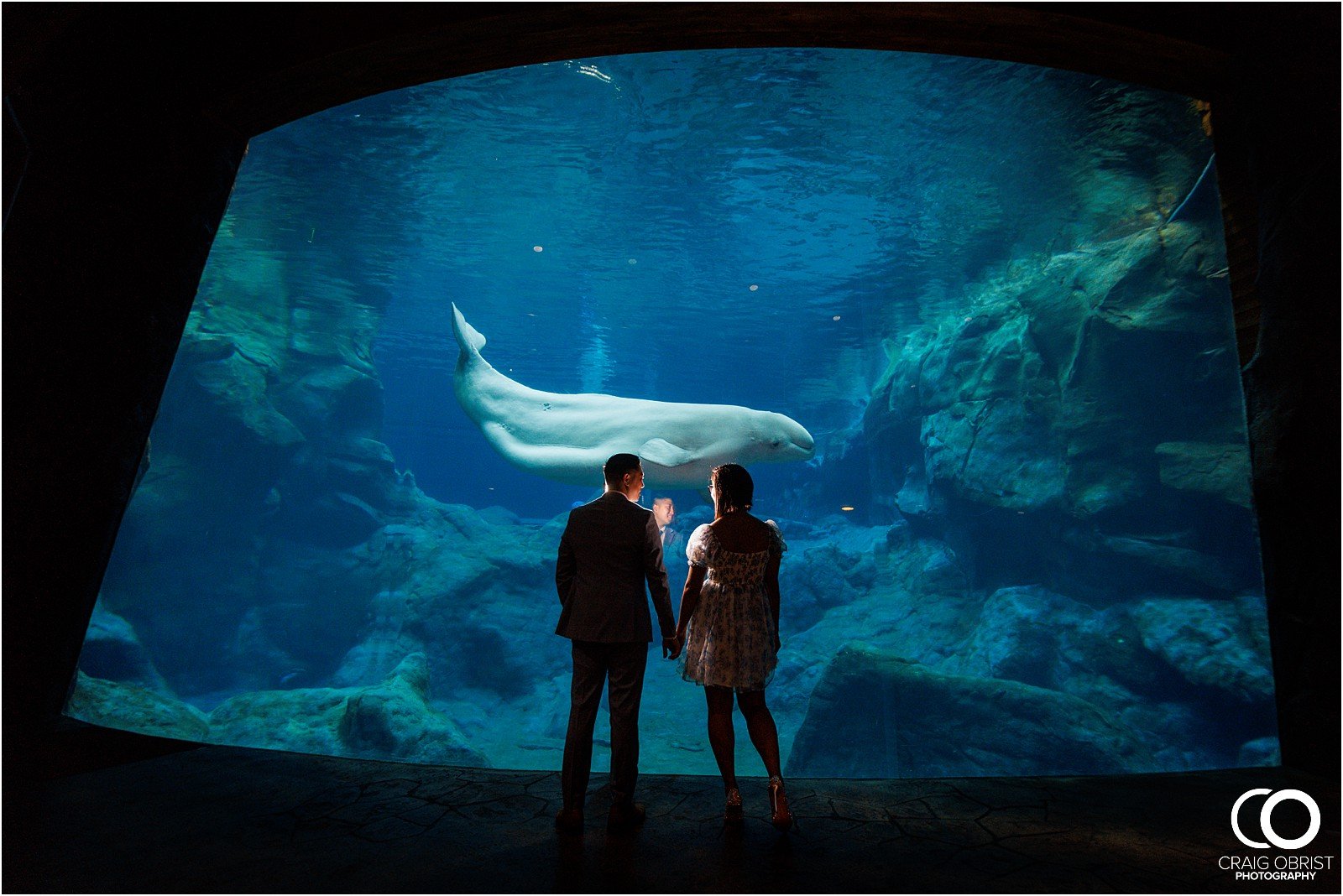 The Georgia Aquarium Atlanta Skyline Engagement Portraits Pictures_0027.jpg