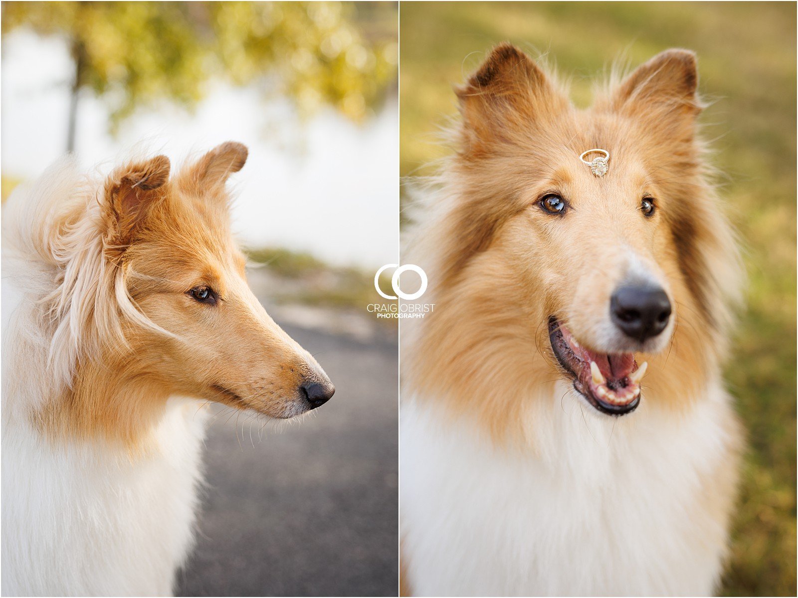 Lake horses sunset engagement Portraits_0009.jpg