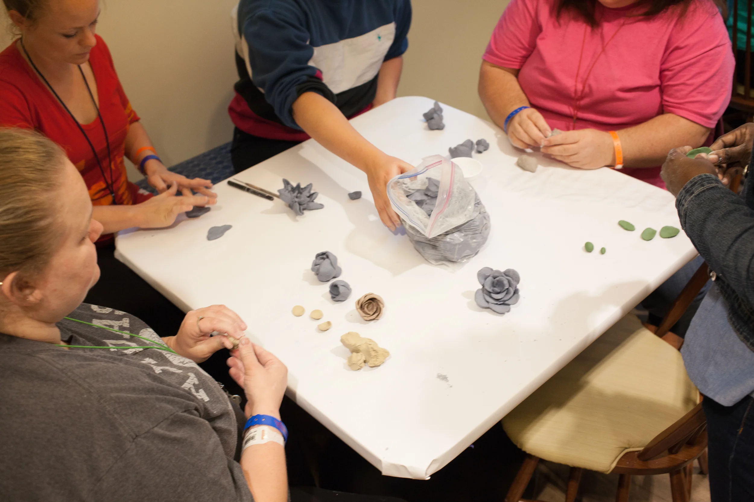 PalmPetalsDoc_17 (1).jpg