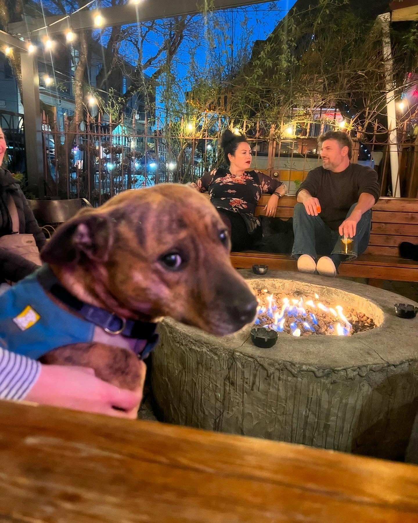 TLW your friend asked if you want a bite and you said no but you have since changed your mind&hellip;