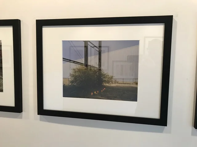 Field Work: Shadow and Light