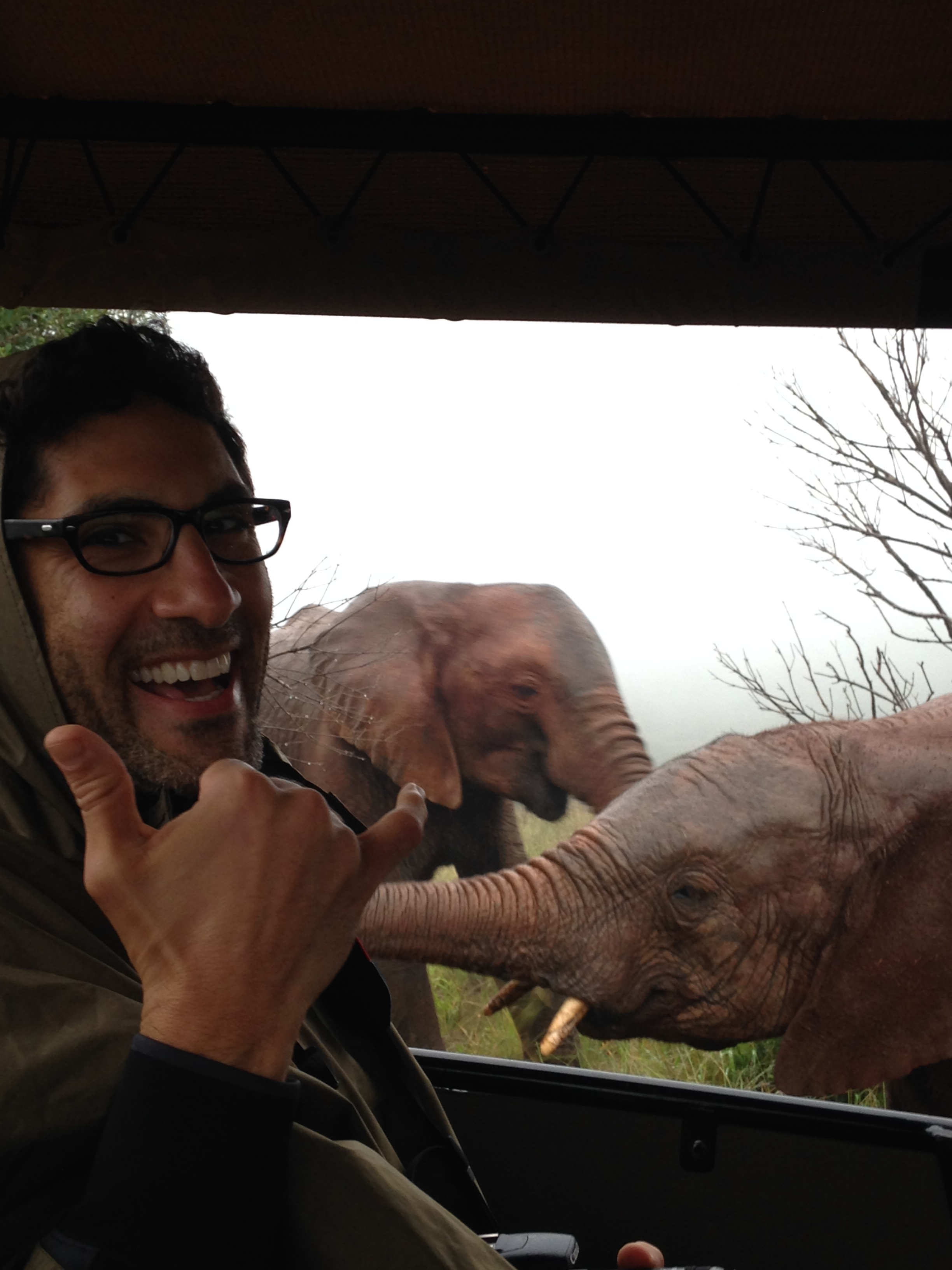 A large parade of African elephants gave us the experience of a lifetime as they walked past our jeep.