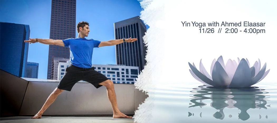 Thrive Yin Workshop.jpg
