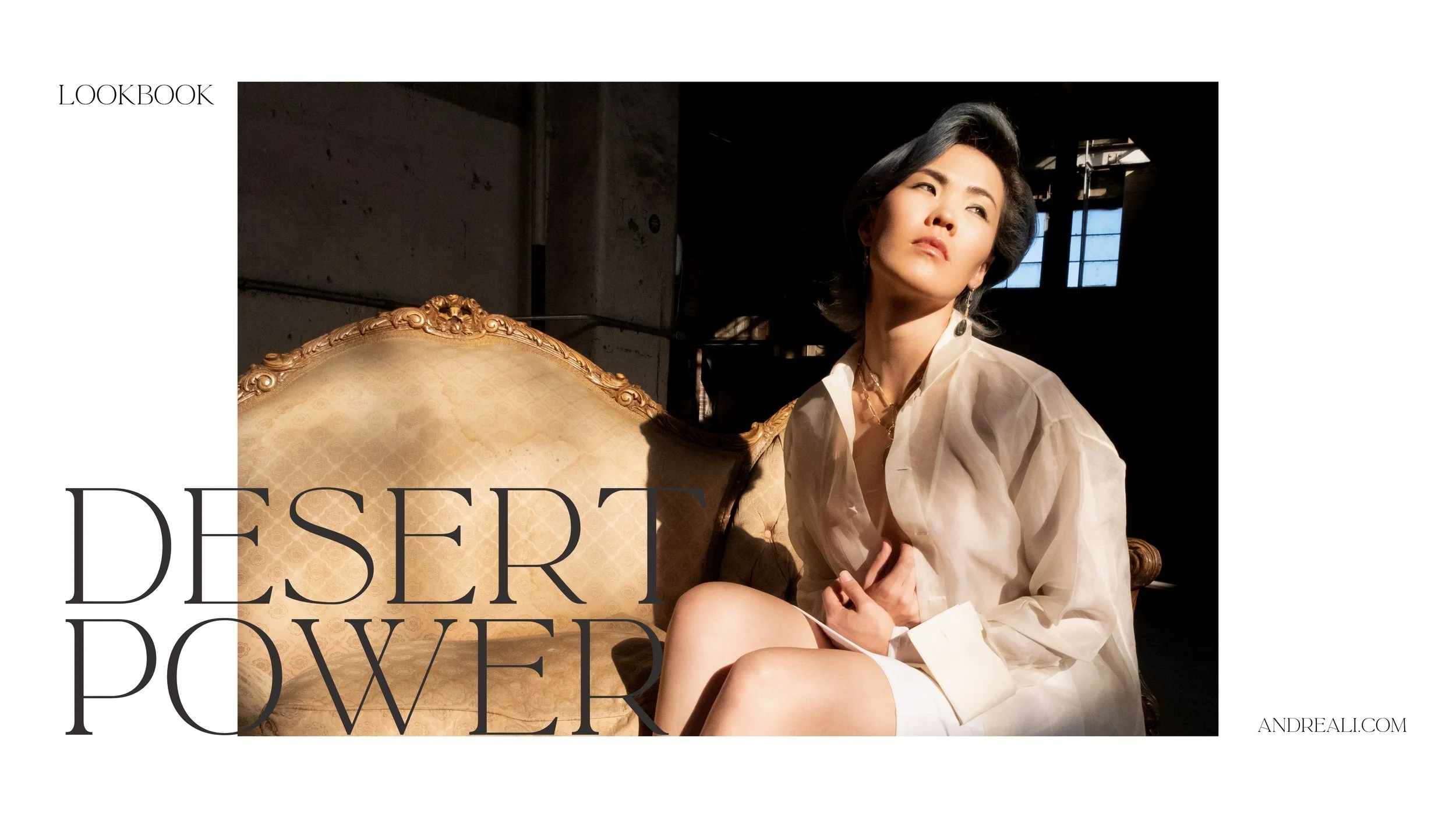 Editorial image for Desert Power lookbook featuring a seated model in a sheer blouse with bold title text on a soft gray layout.