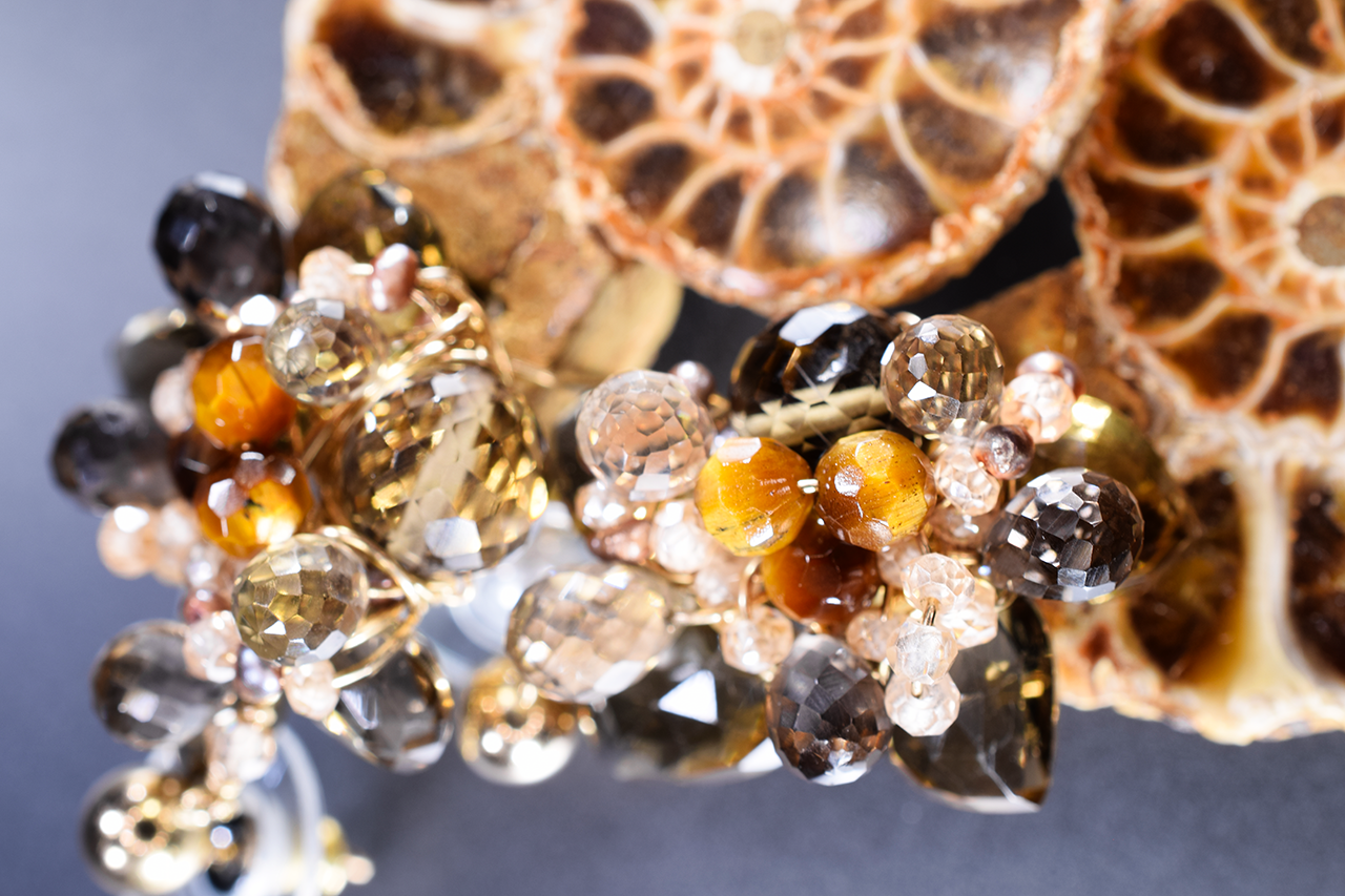 Nautilus Fossil and Gemstone Earrings