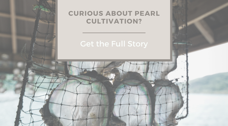 Curious About Pearl Cultivation? Get the Full Story