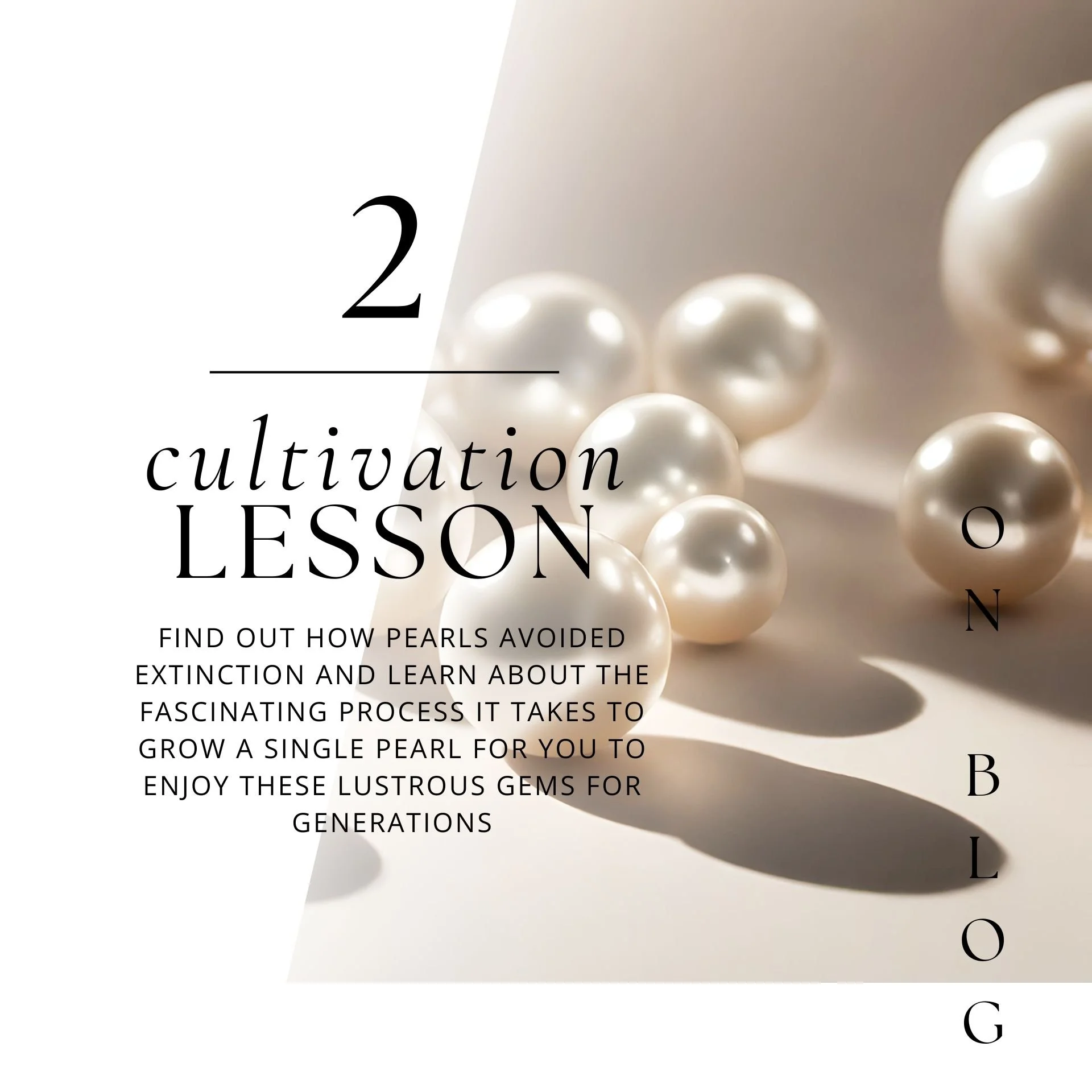 Cultivating Lesson