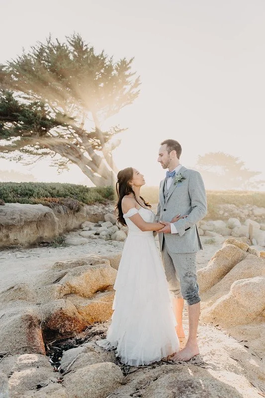 A bride and groom facing each other on coastal rocks beneath a cypress tree in hazy sunlight