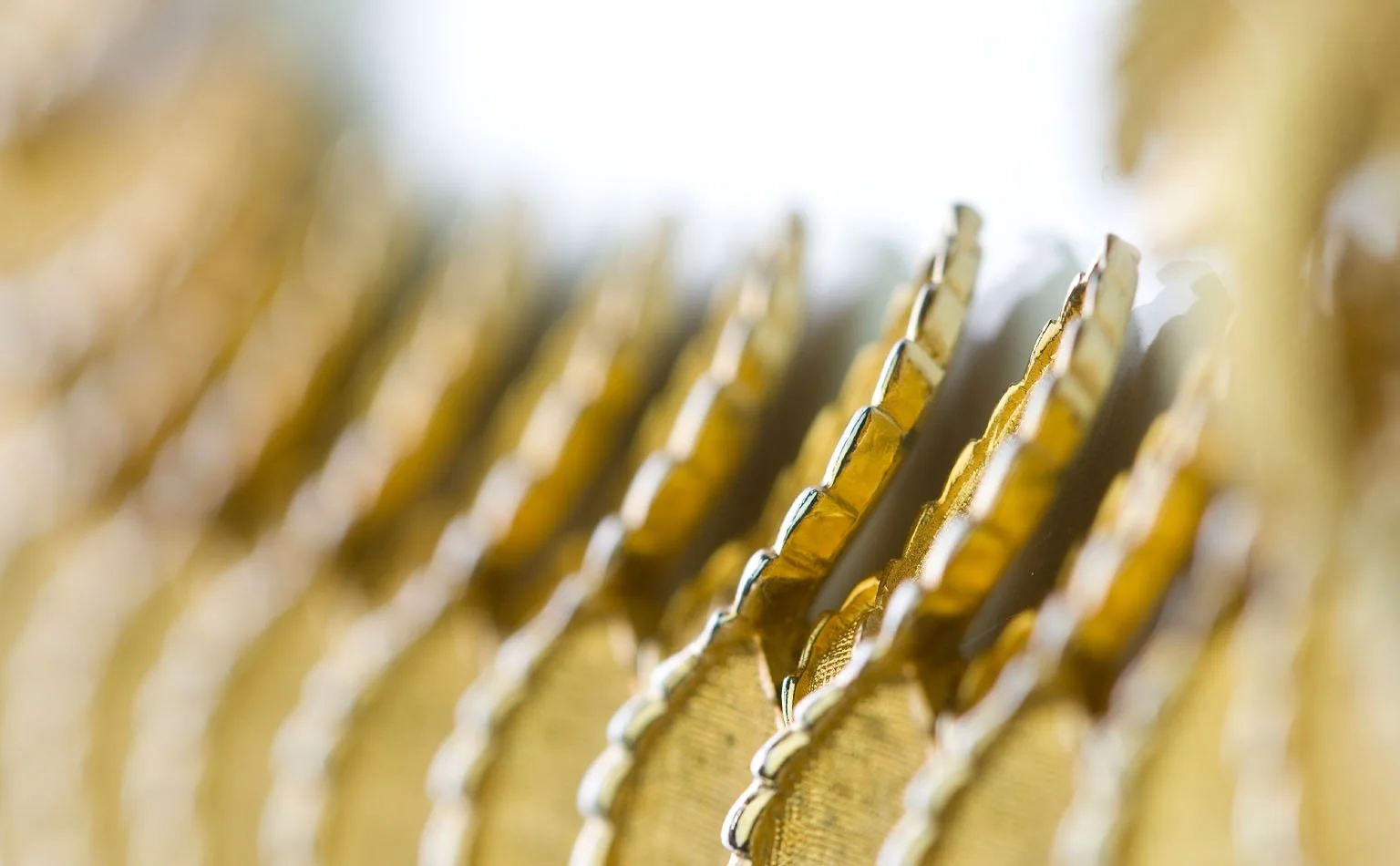 Detail of a fanned gold leaf casting repeated along a collar