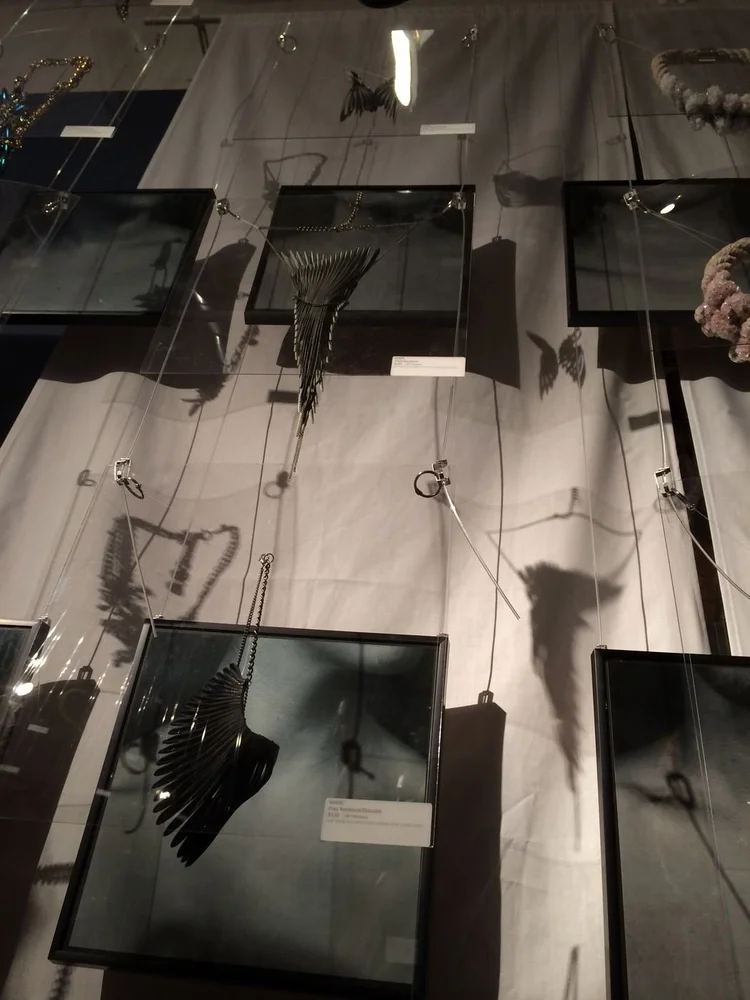 A hanging display with a black wing-like piece in a frame