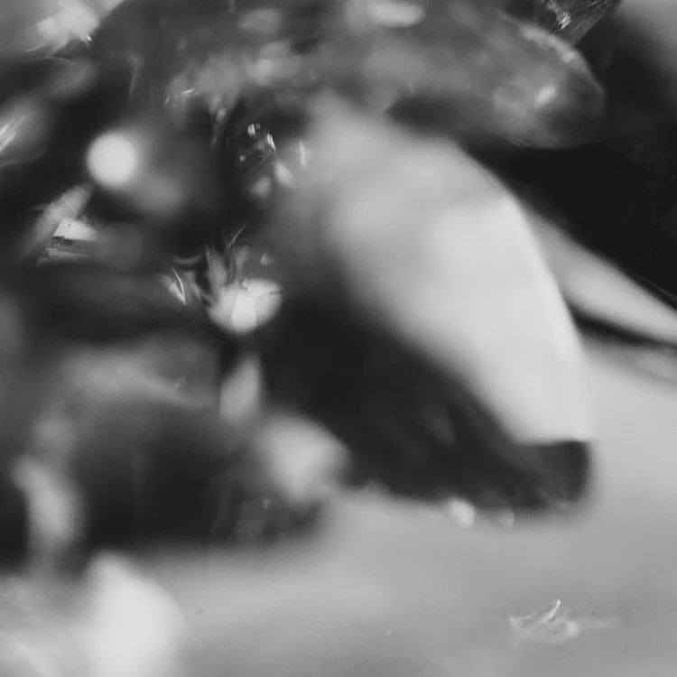 Black and white macro of the briolettes in soft focus