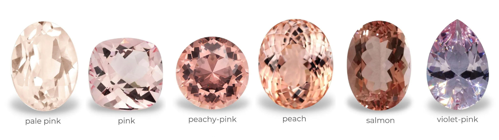 10 Fascinating Facts to Unveil the Enchanting Meaning and Allure of ...