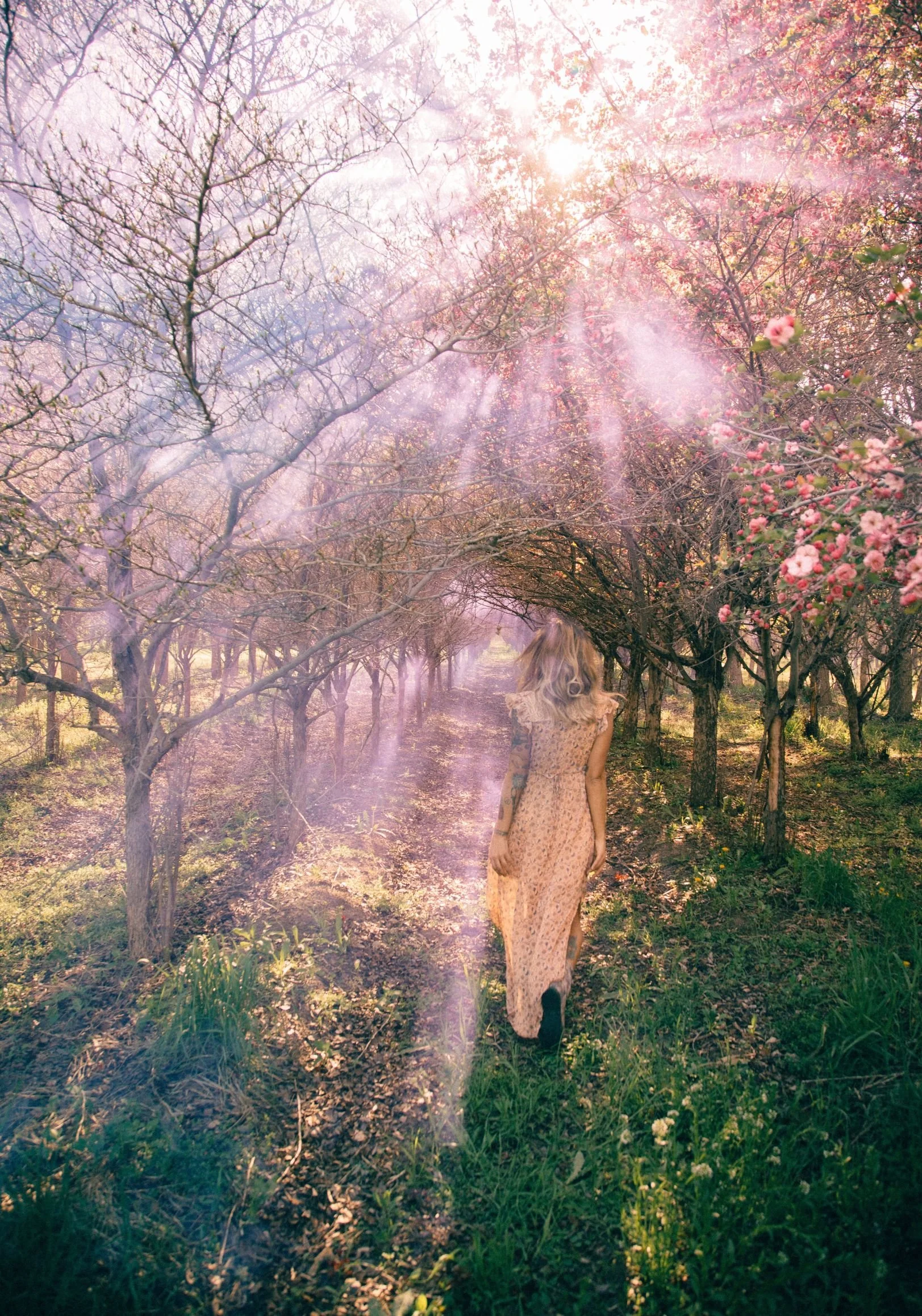 A model in a long dress walking through an orchard of pink blossoms in a haze of sunlight