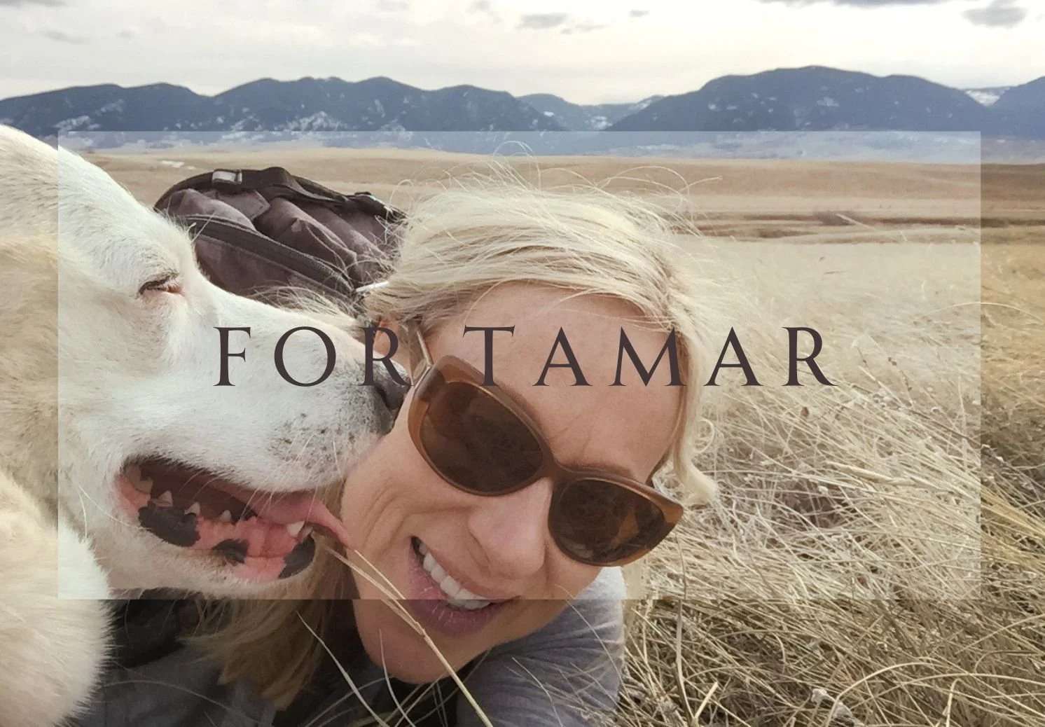 For Tamar.jpg