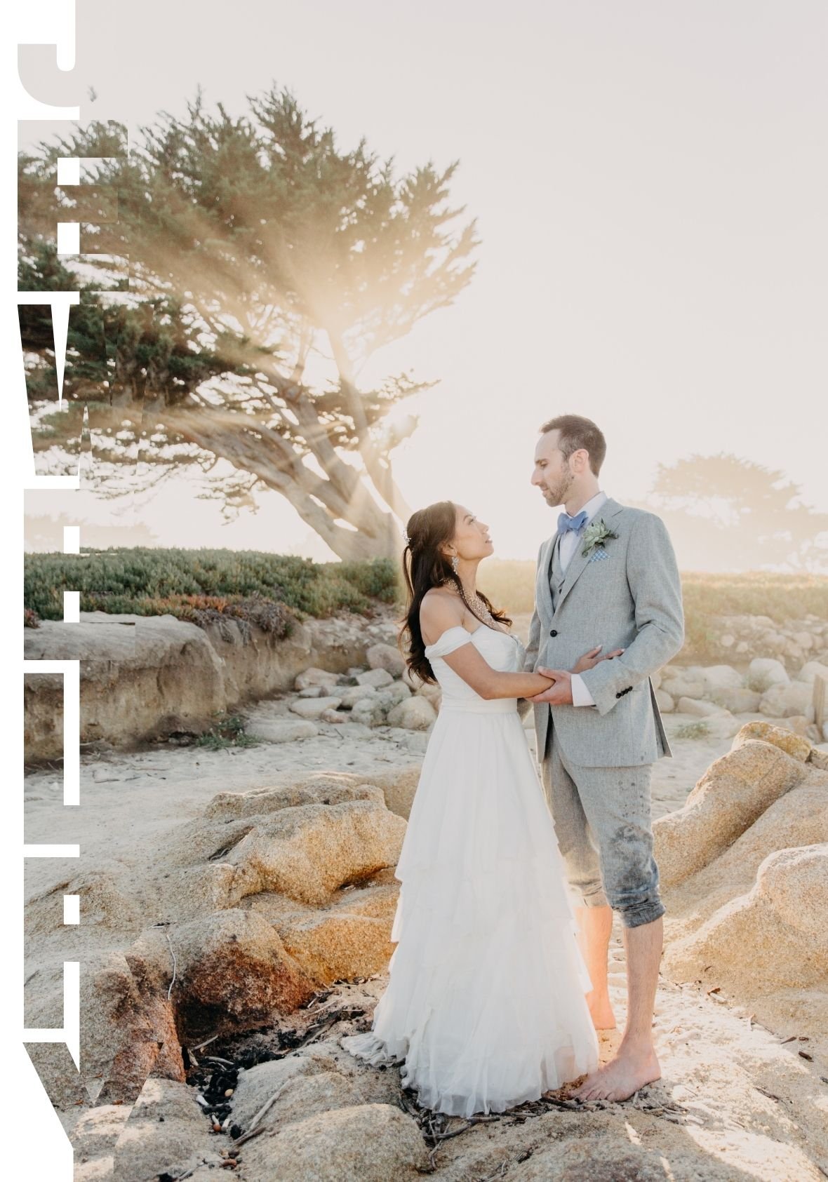 Bride and groom standing barefoot on a rocky beach at sunset, holding hands and looking at each other, with the bride in an off-the-shoulder white gown and a large windswept tree glowing in the background.