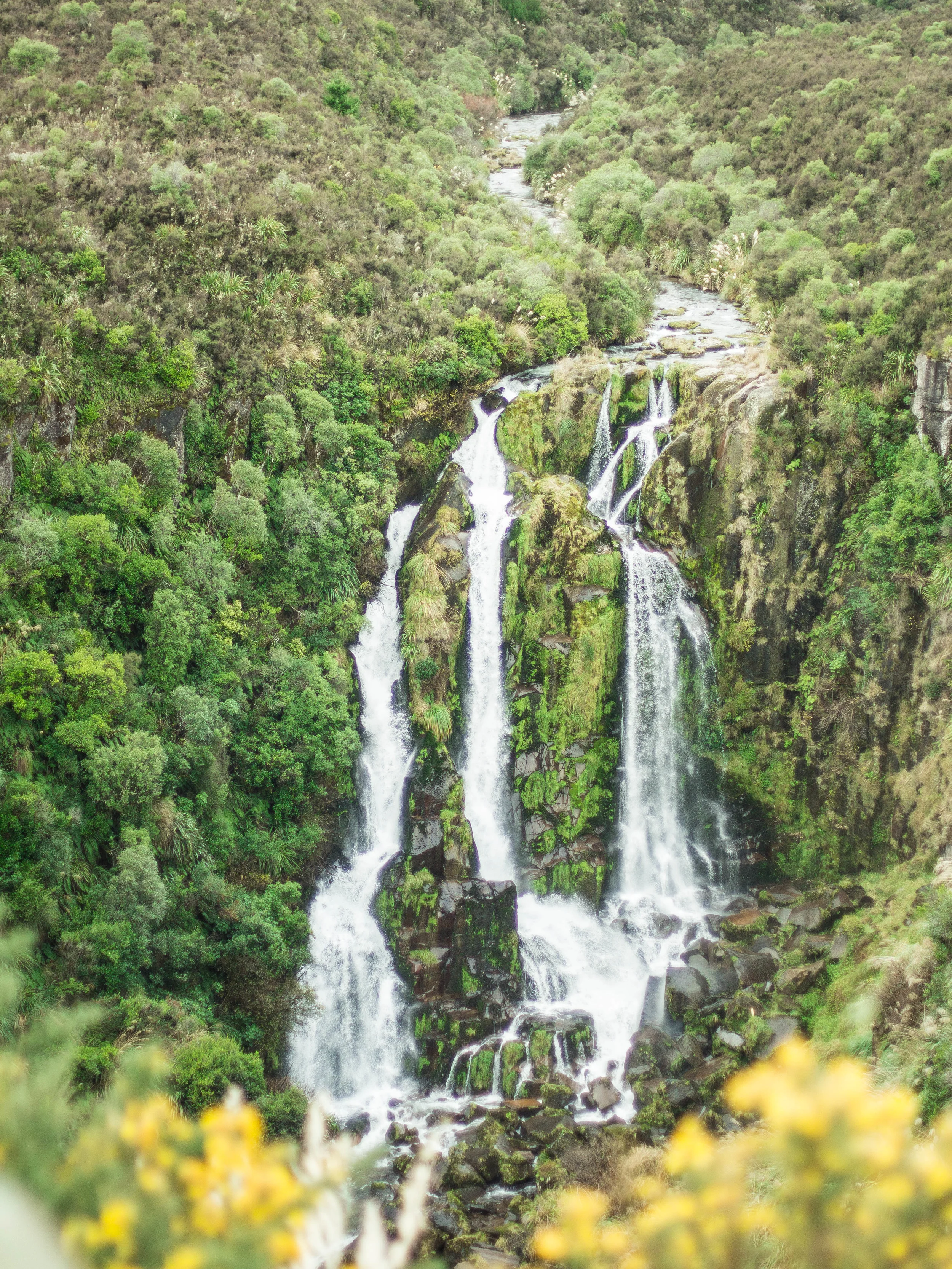 NZ Waterfall