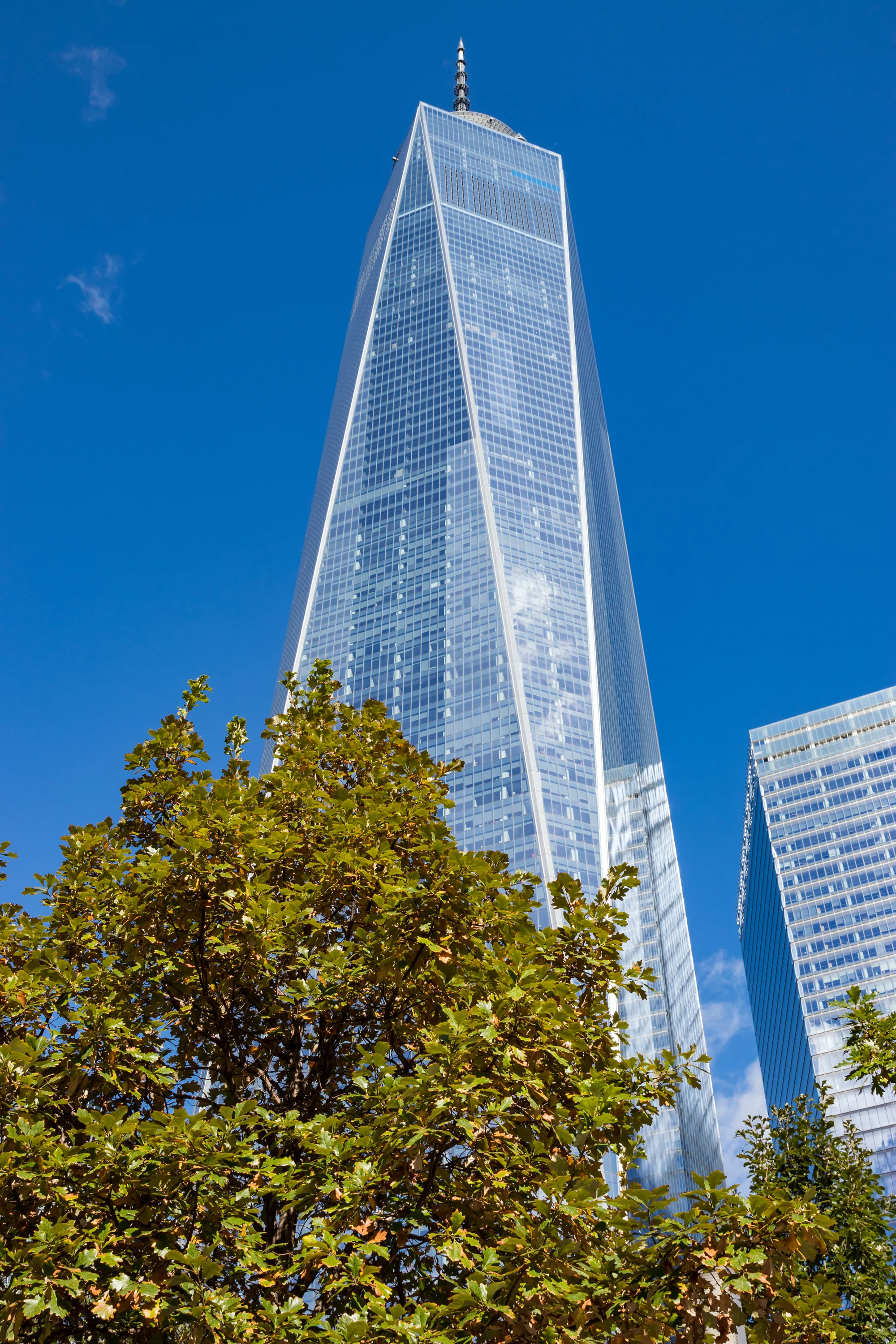 IMG_2813-88p.jpg