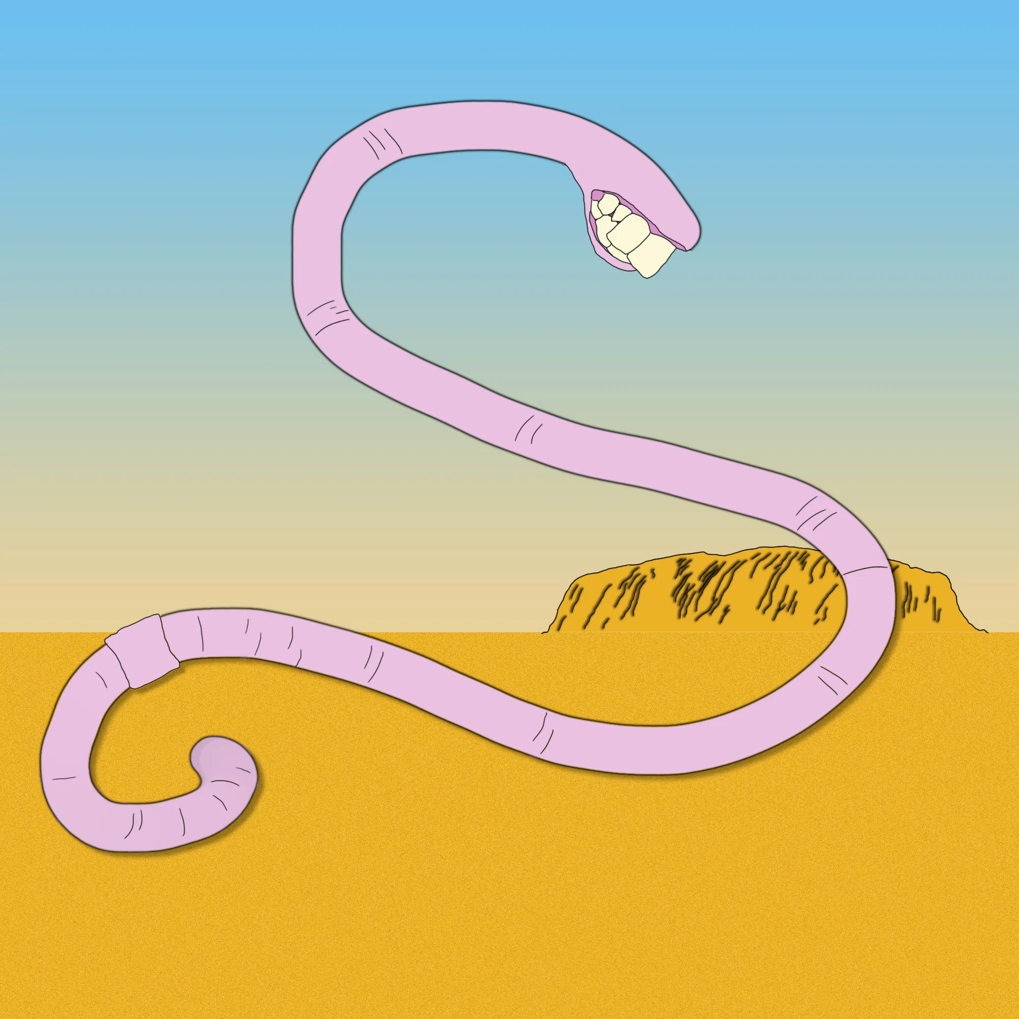 37: Snakes