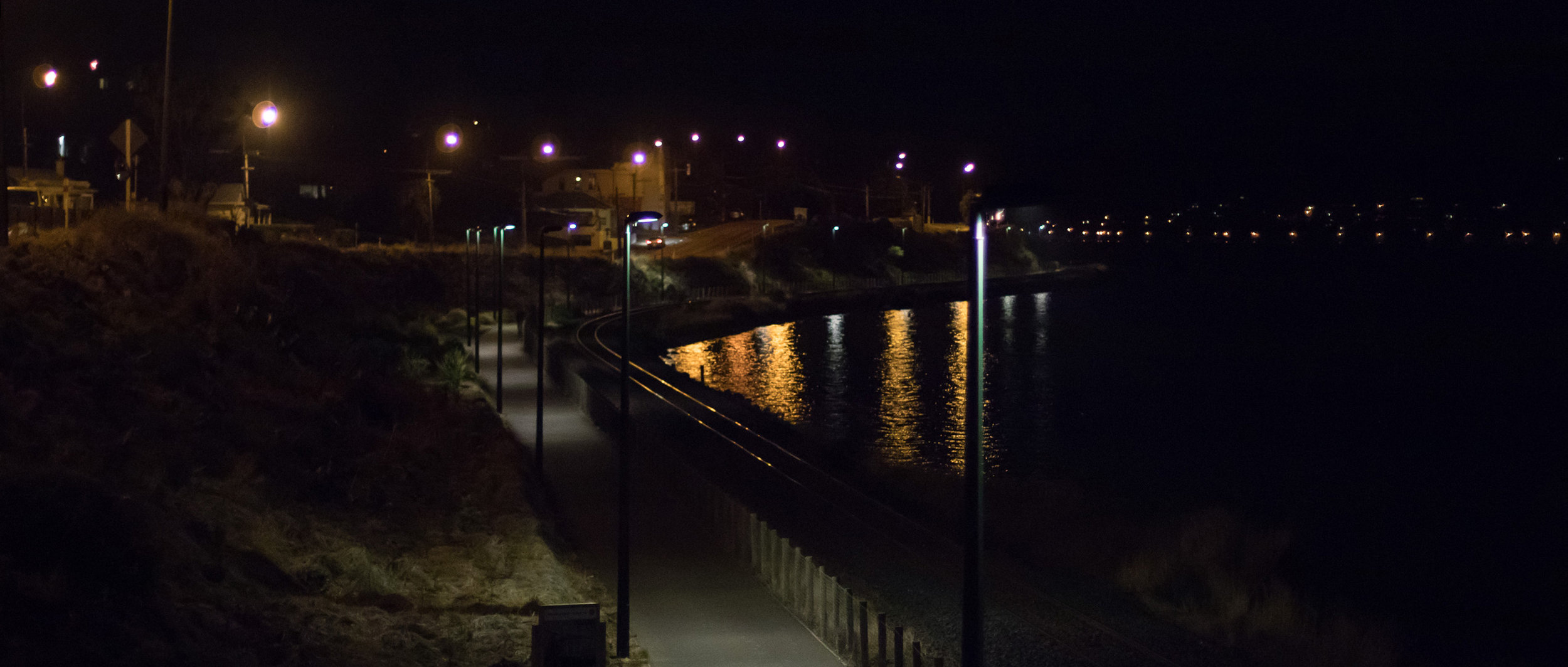 March 4. Ravensbourne. We wanted to go to Port Chalmers but were too tired so stopped here.