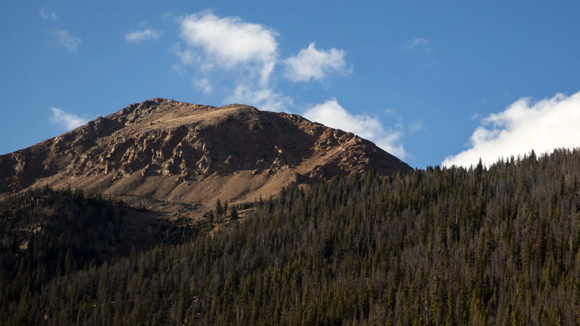 IMG_5198-89p.jpg
