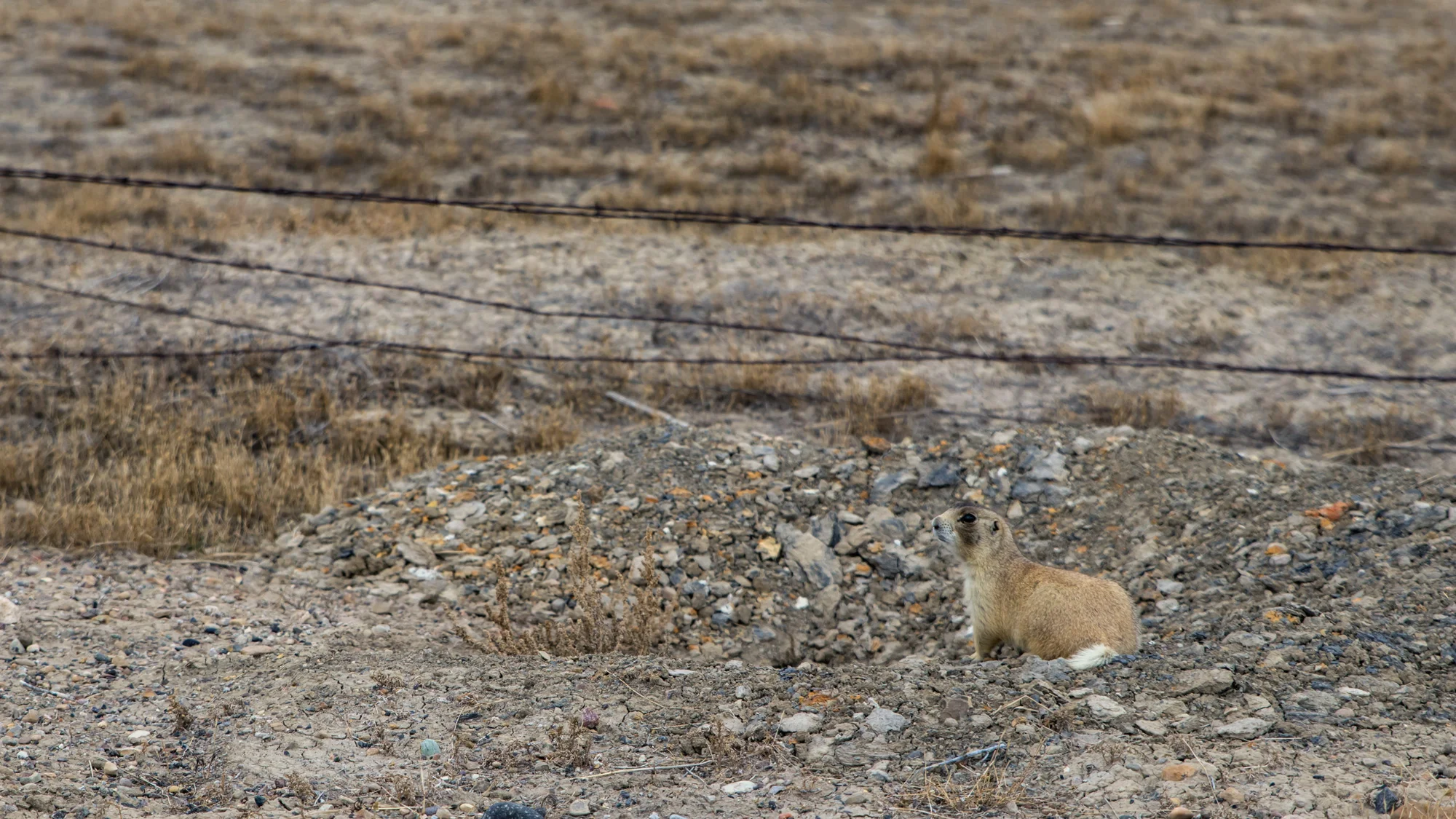 IMG_5758-63p.jpg