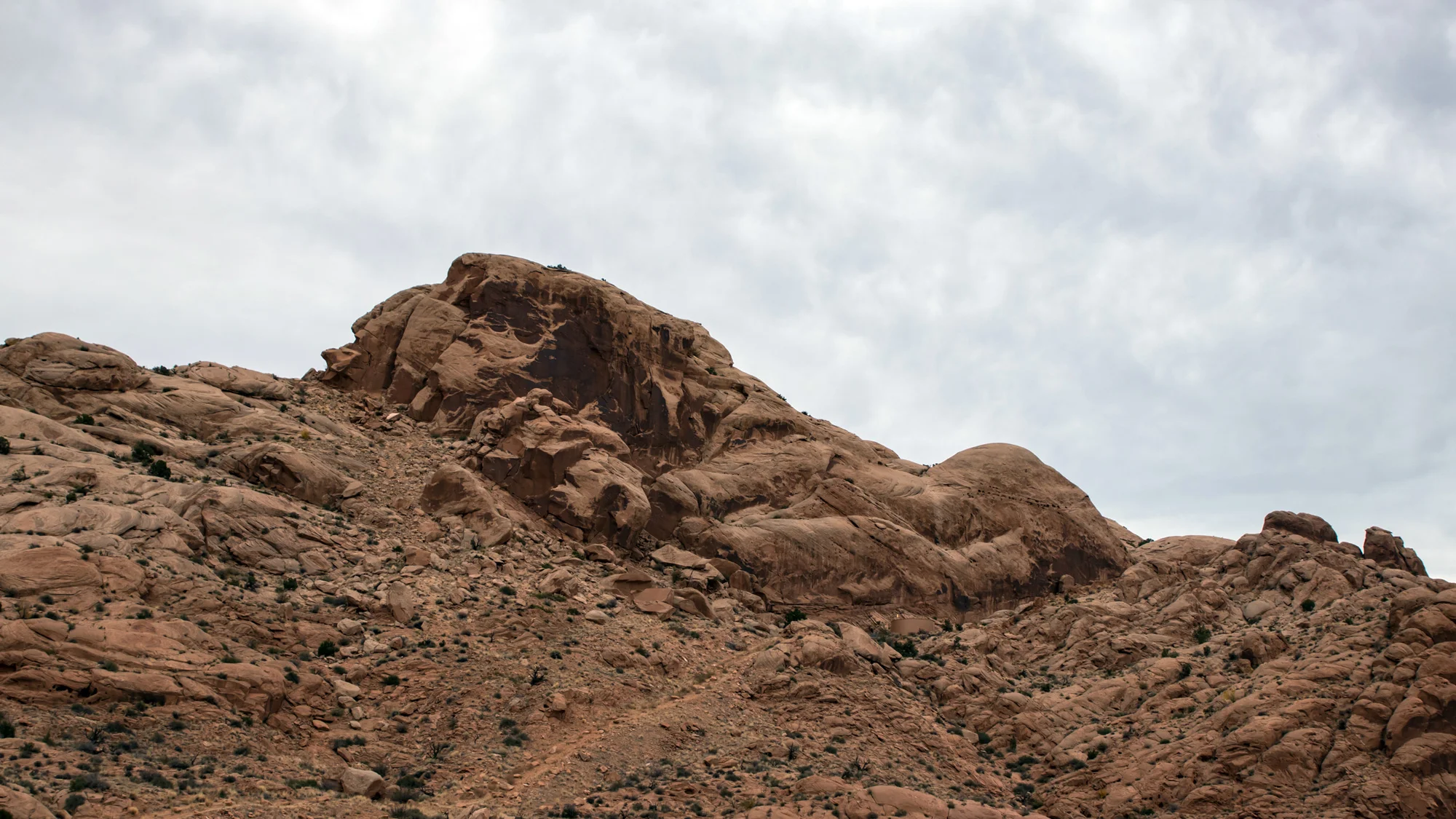 IMG_6195-268p.jpg