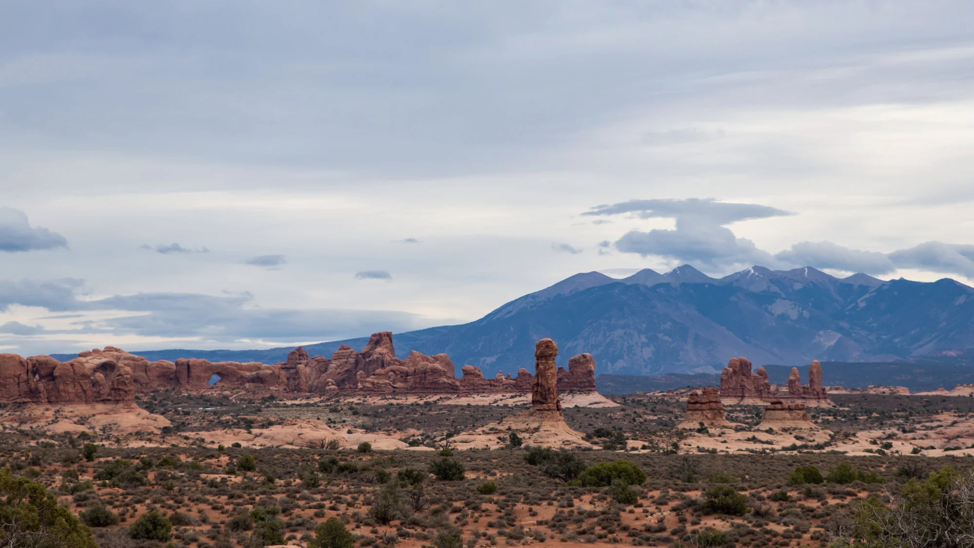 IMG_6481-2p.jpg