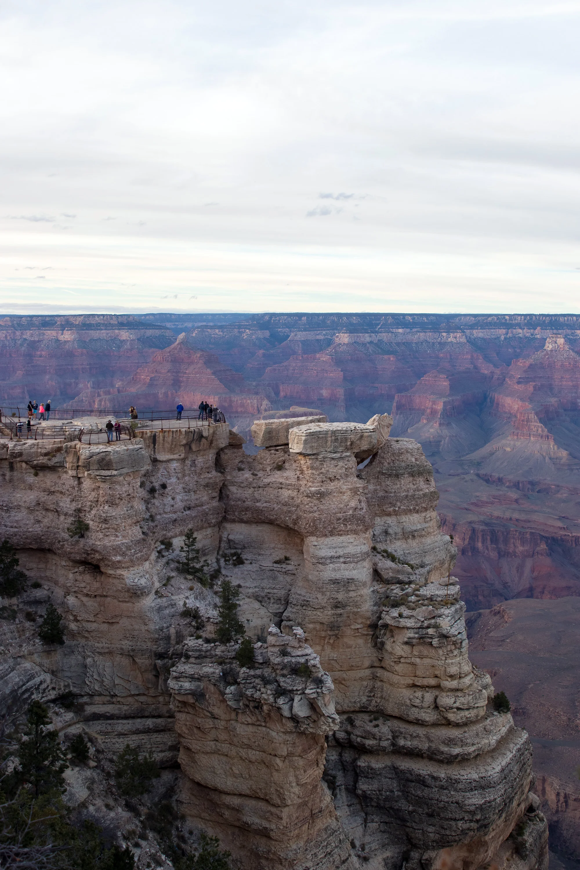 IMG_8434-41p.jpg