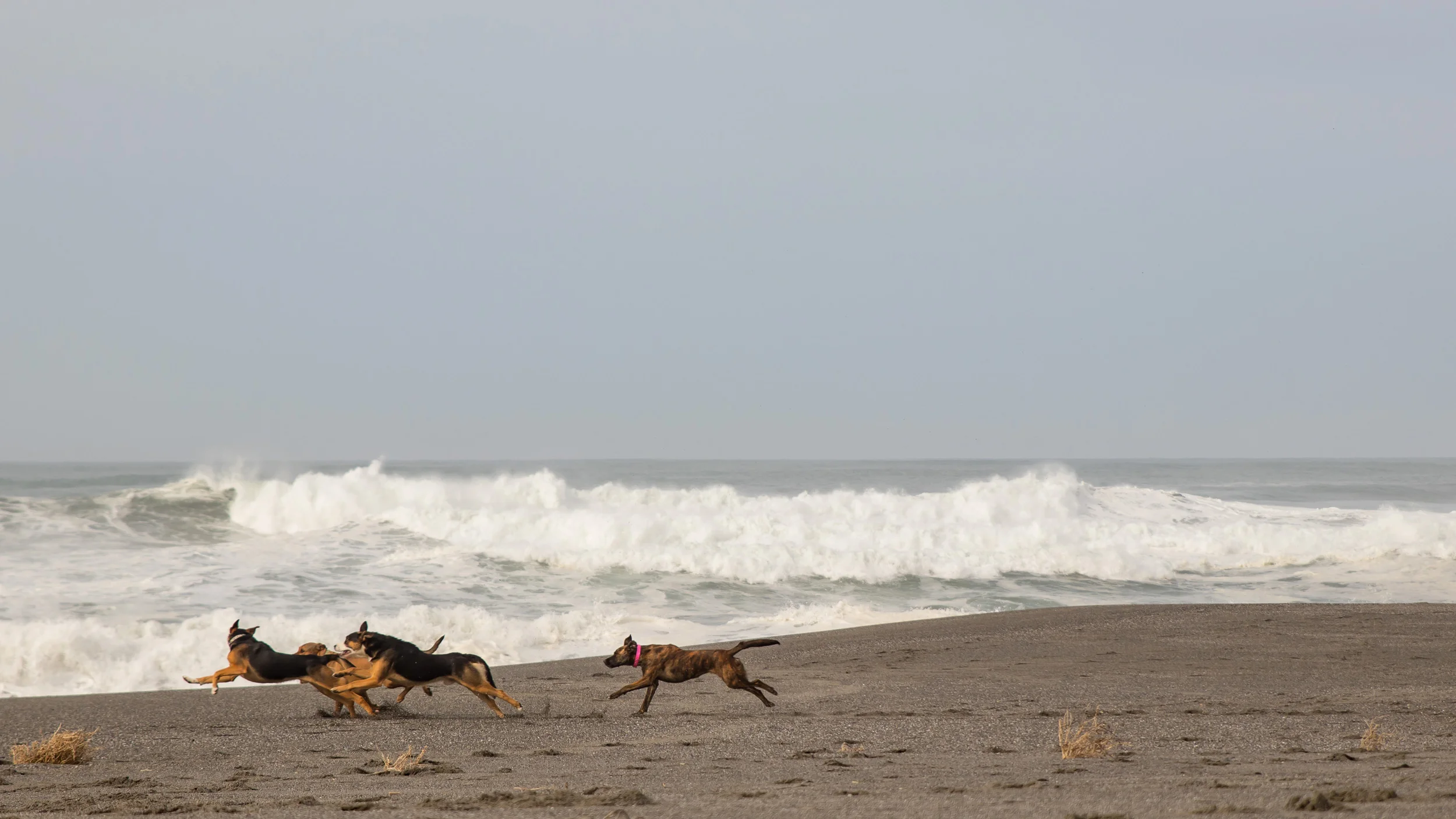 IMG_0742-260p.jpg