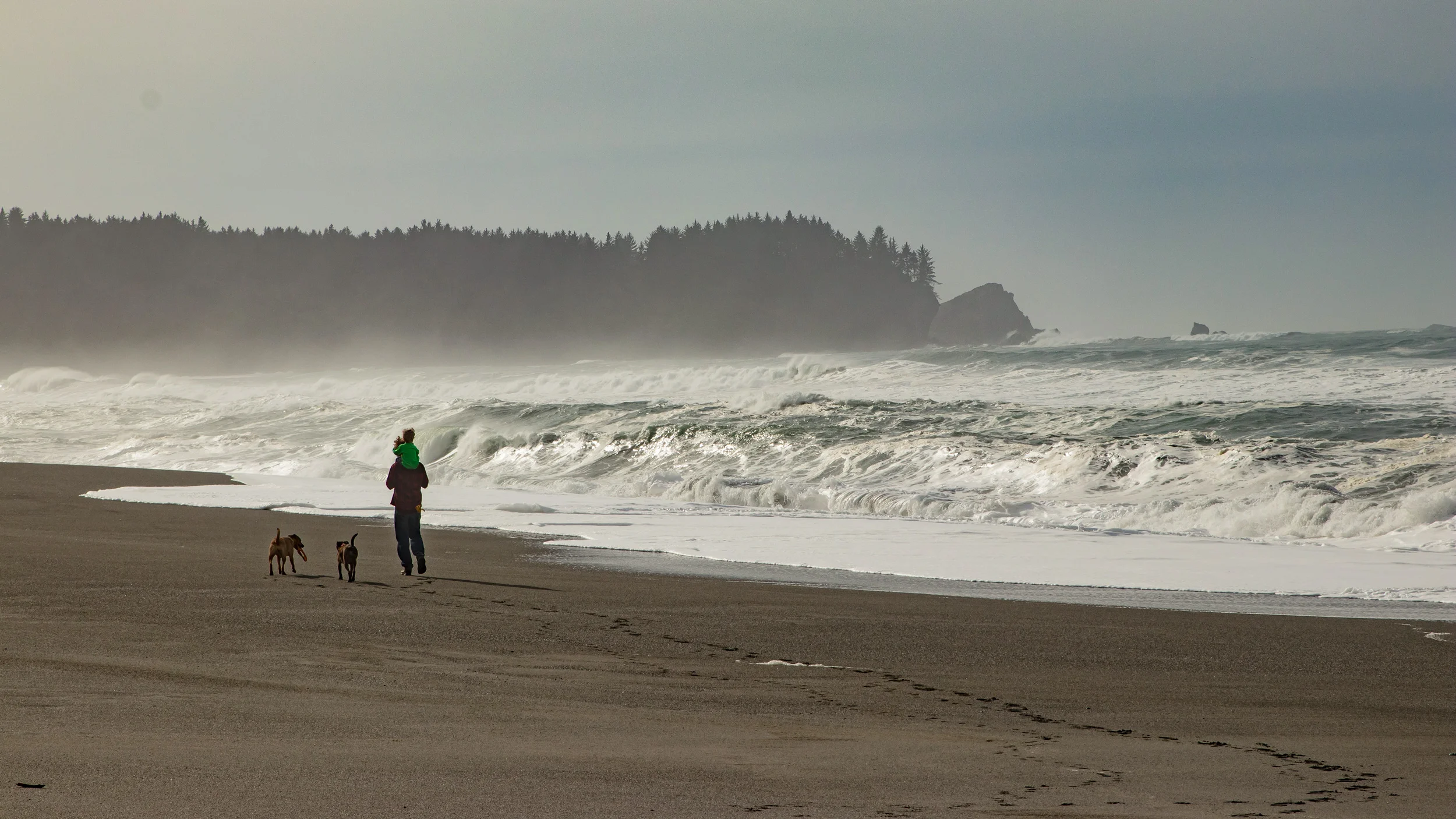 IMG_0858-349p.jpg