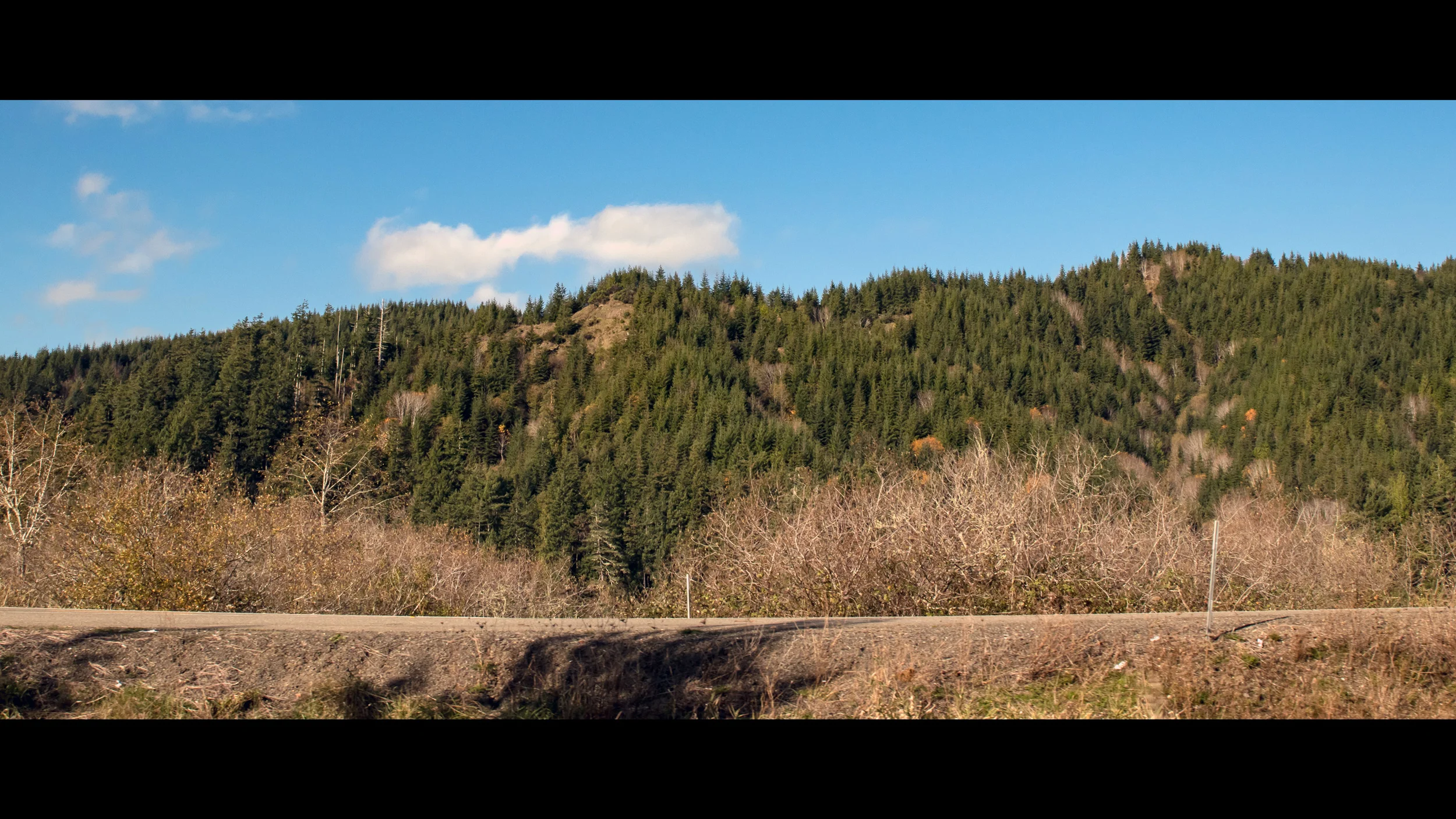 IMG_1524-208p.jpg