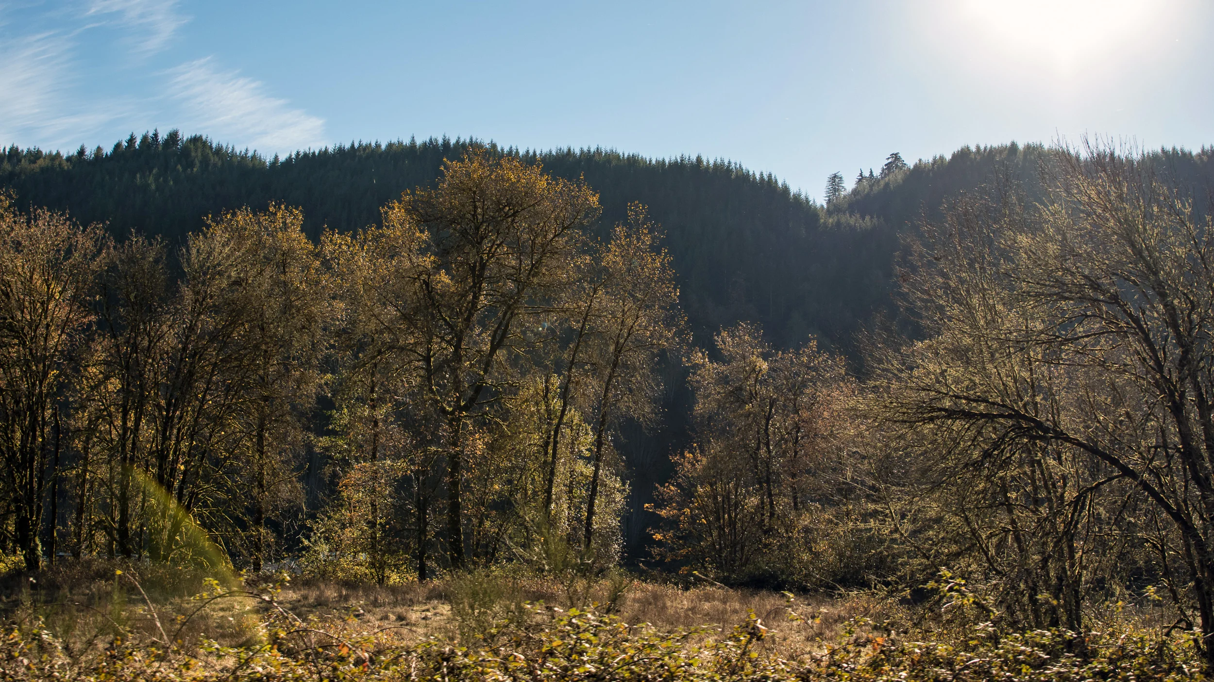 IMG_1618-260p.jpg