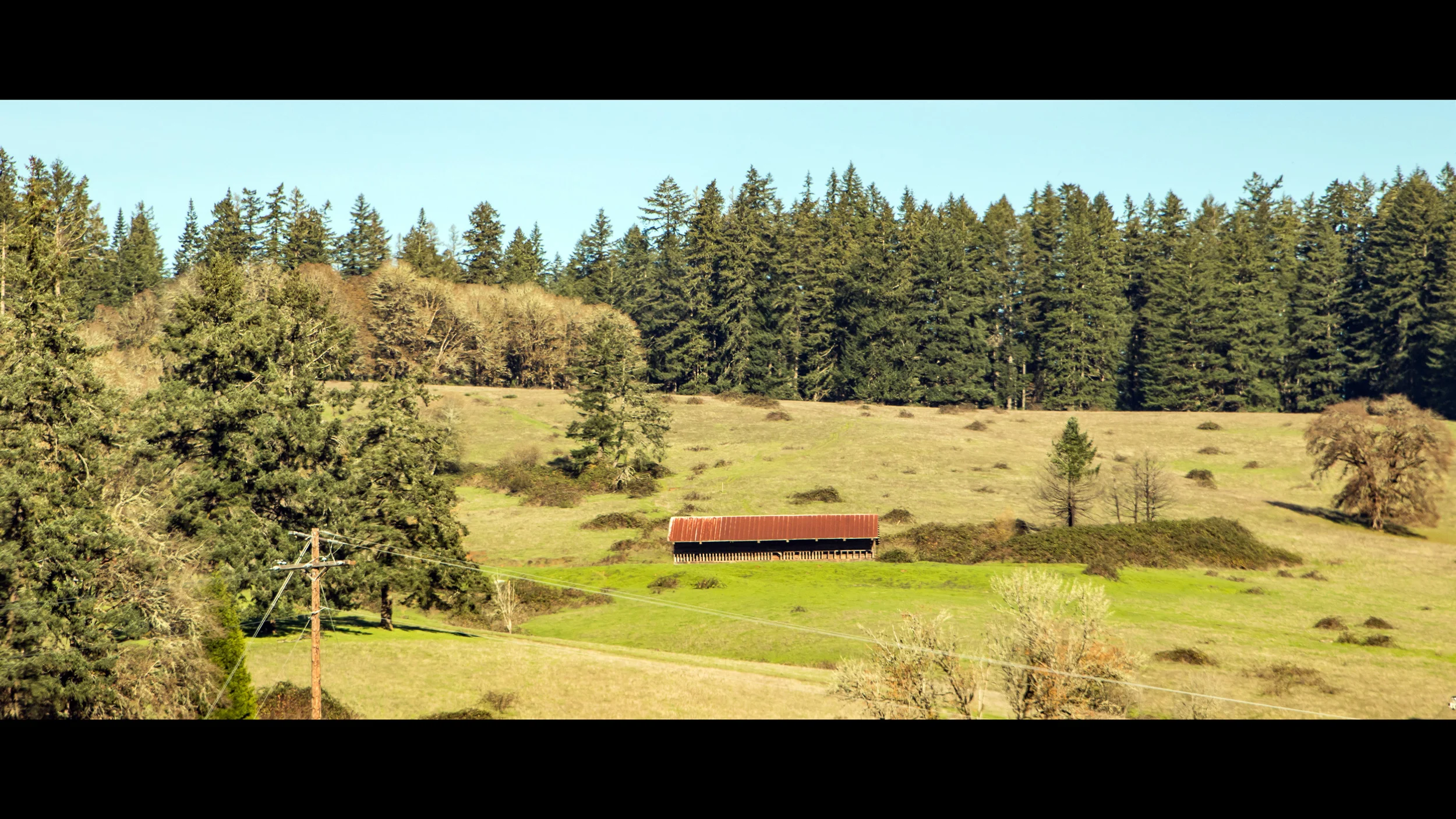 IMG_1647-269p.jpg