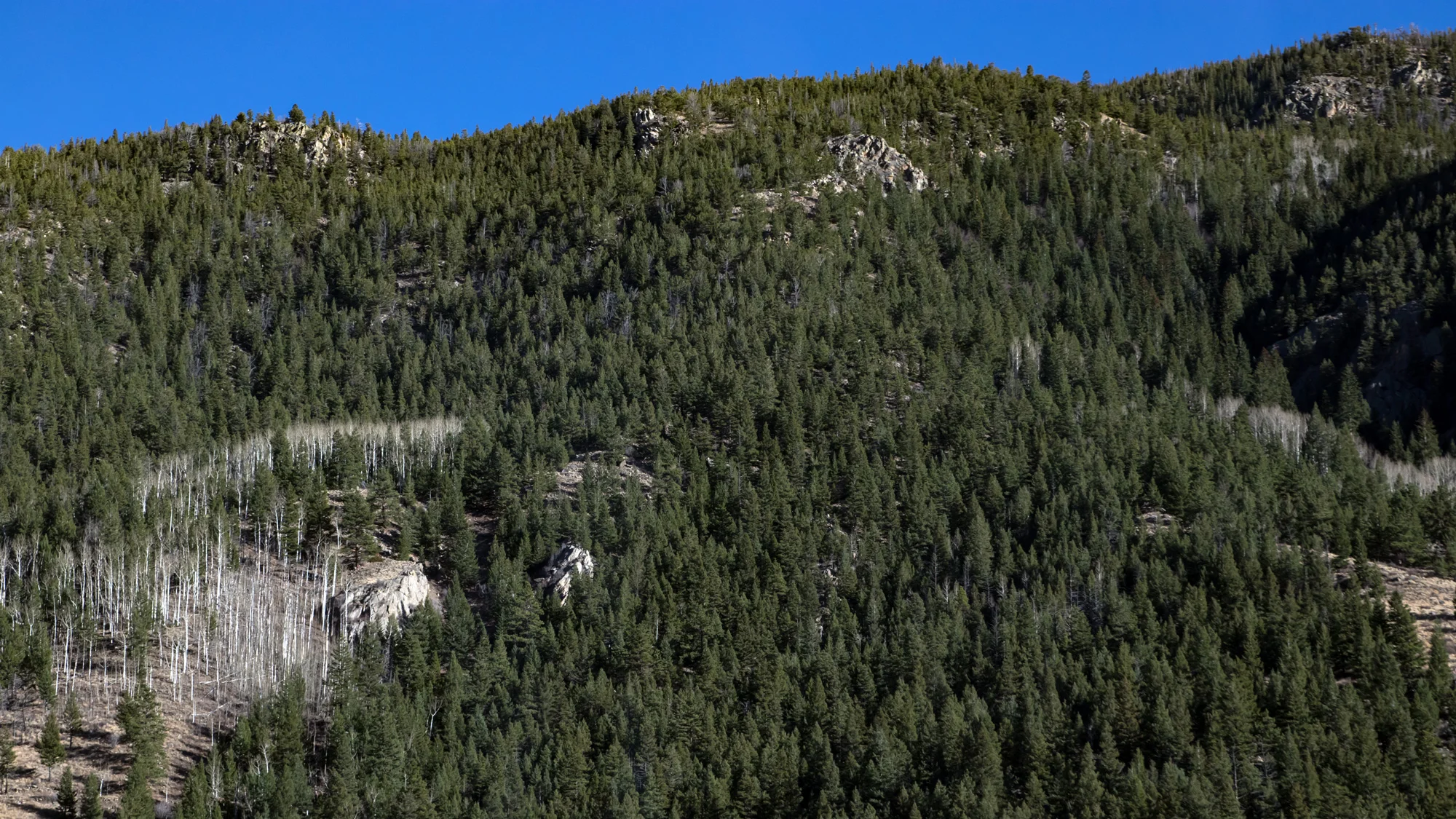 IMG_5127-54p.jpg