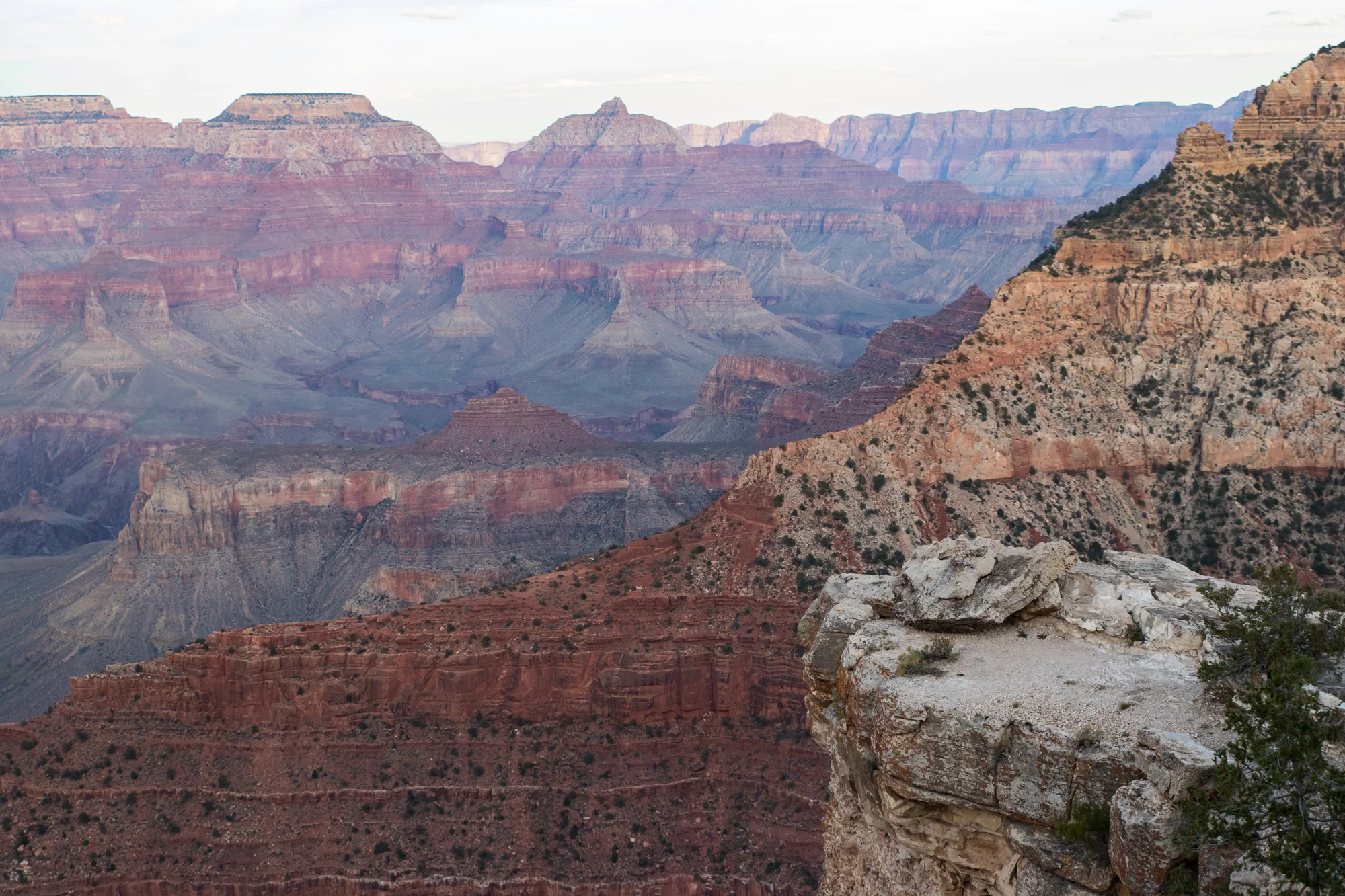 IMG_8401-16p.jpg
