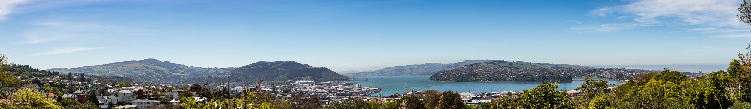 My favourite view of Dunedin. From the Unity Park Lookout. I’d often say that this version of Dunedin was trying to do an impression of one of those small fishing towns from a Studio Ghibli movie because I tend to say really dumb stuff about nice things.