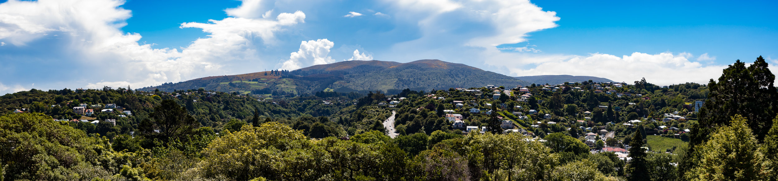 Dunedin from The Gardens can be a bit nice as well, so walking around here also became a bit of a regular for us.