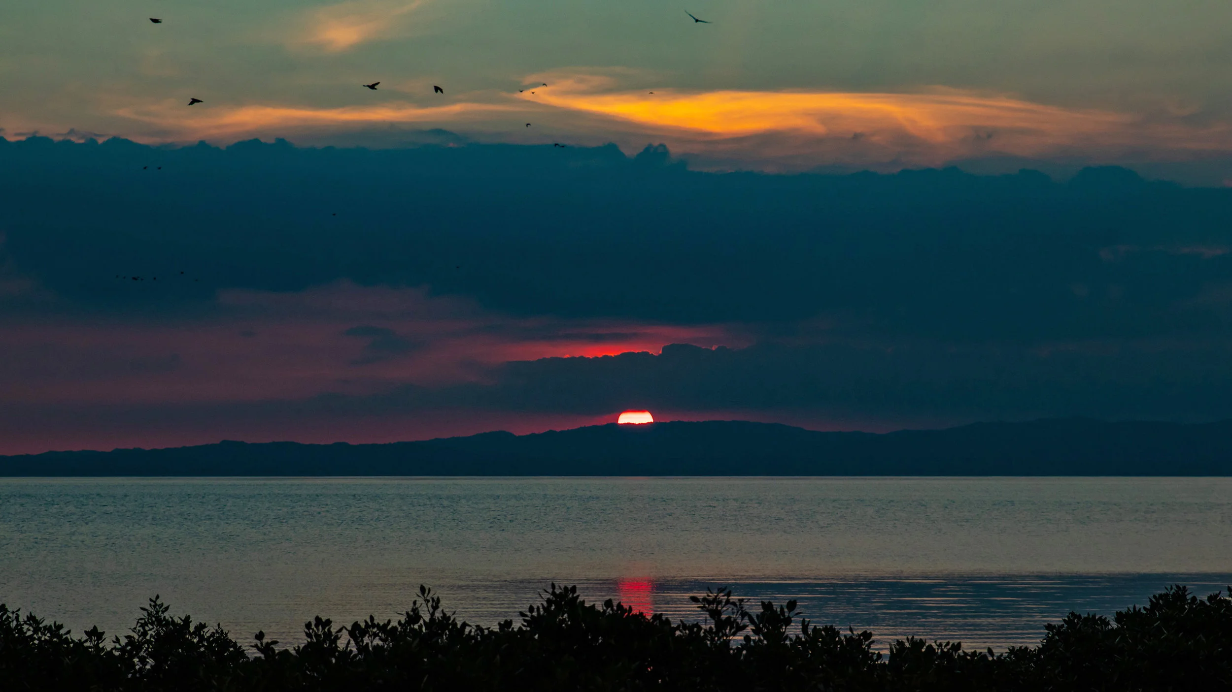 IMG_4296-234p.jpg