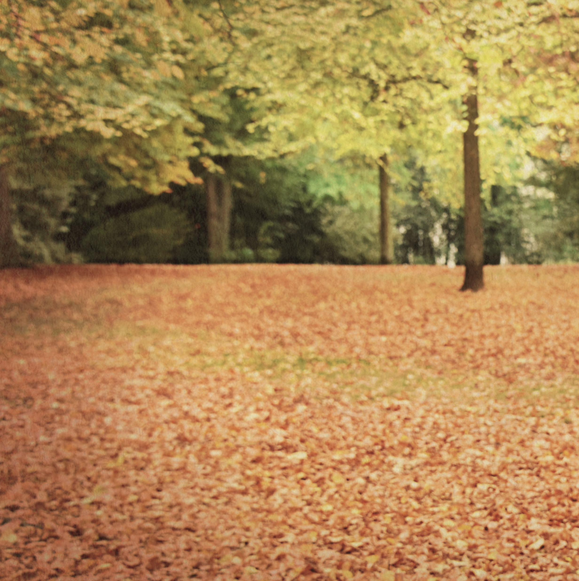 Capture d’écran 2019-02-04 à 15.13.49.png