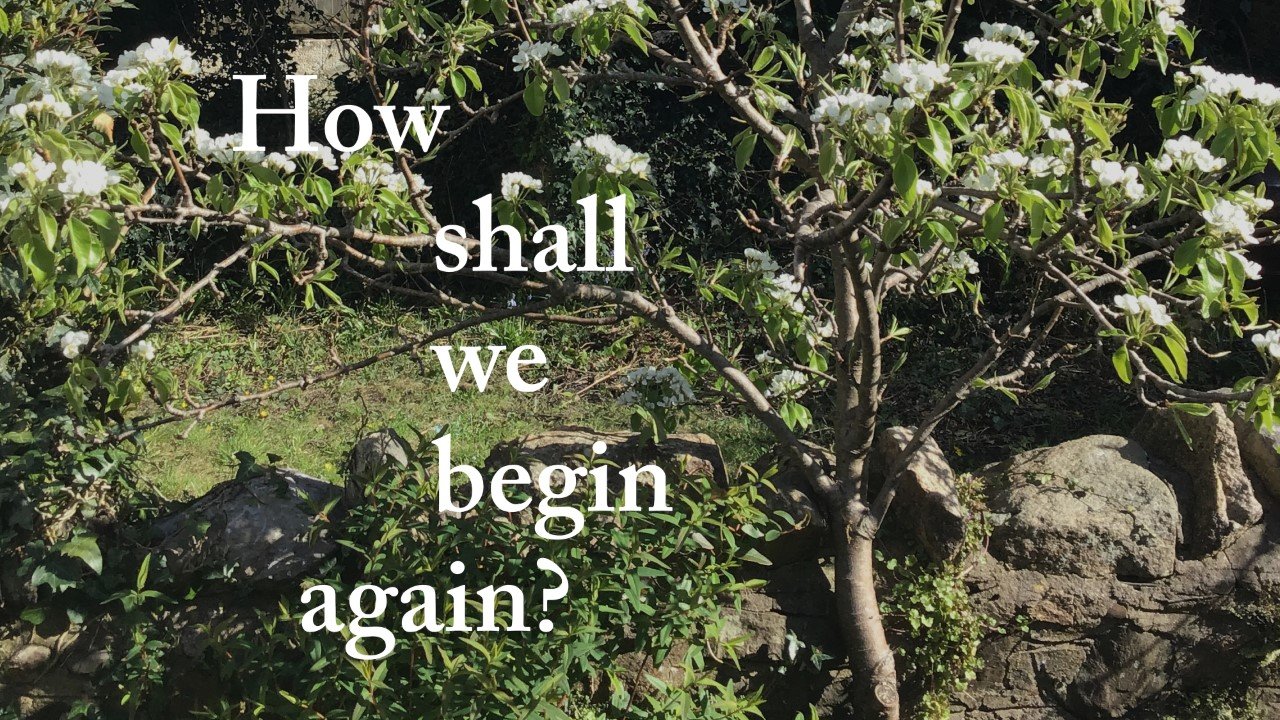 How Shall We Begin Again? By Jennifer Ramm