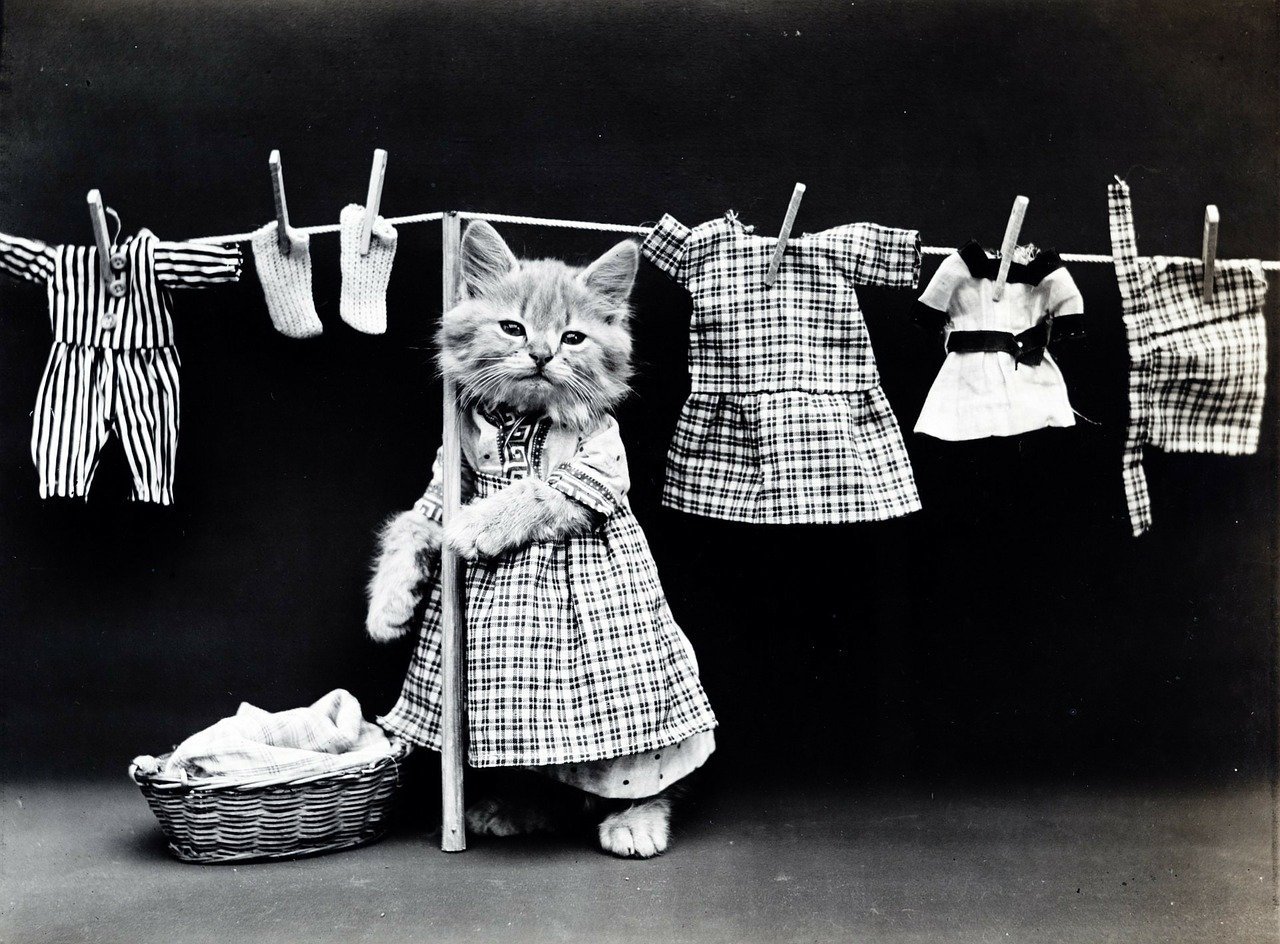 White Monday - Free Clothes Store