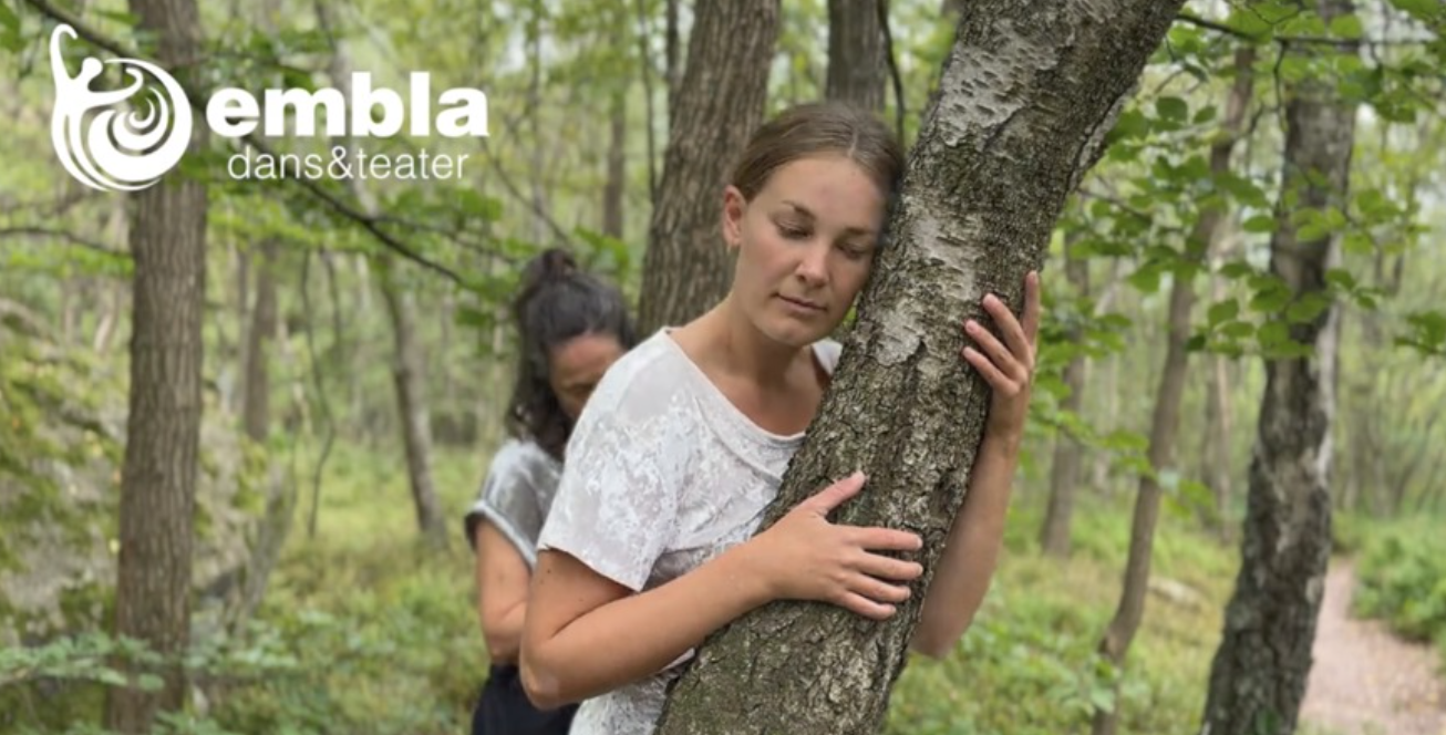 “Träd i tid och rörelse”: A Sensory Journey into the World of Trees