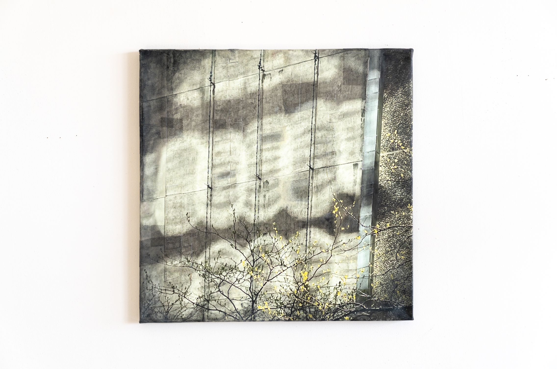 Kate Quarfordt_Sun Glyphs_Elements 2_AlejandroDuran.jpg