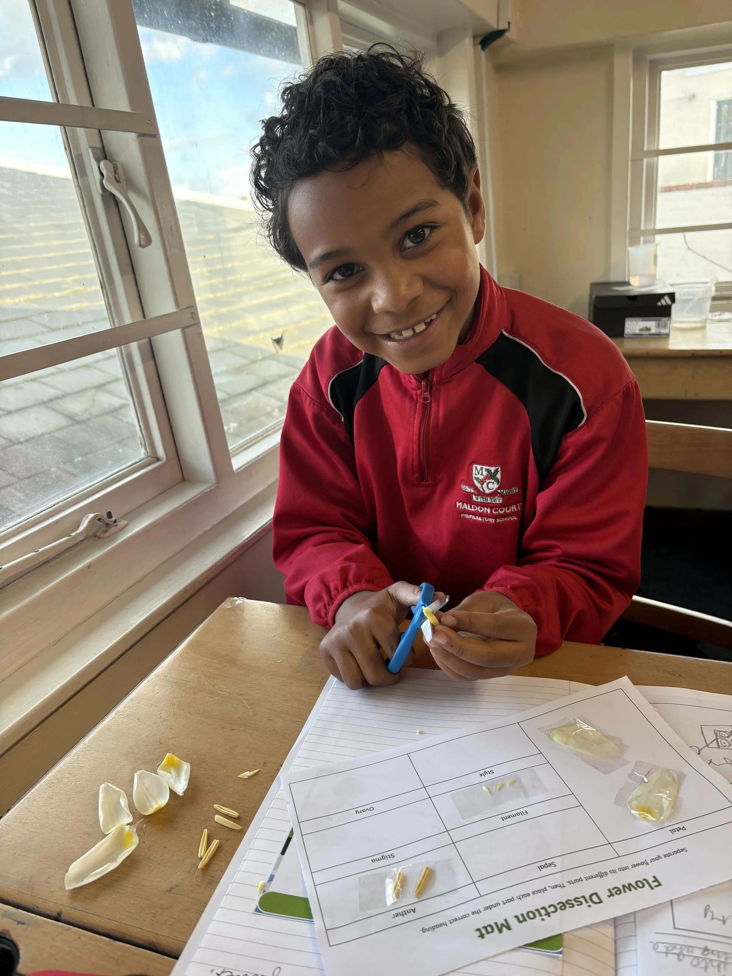 Parts of a plant- dissecting tulips  (5).jpg