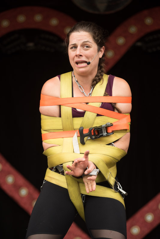 Glastonbury Festival