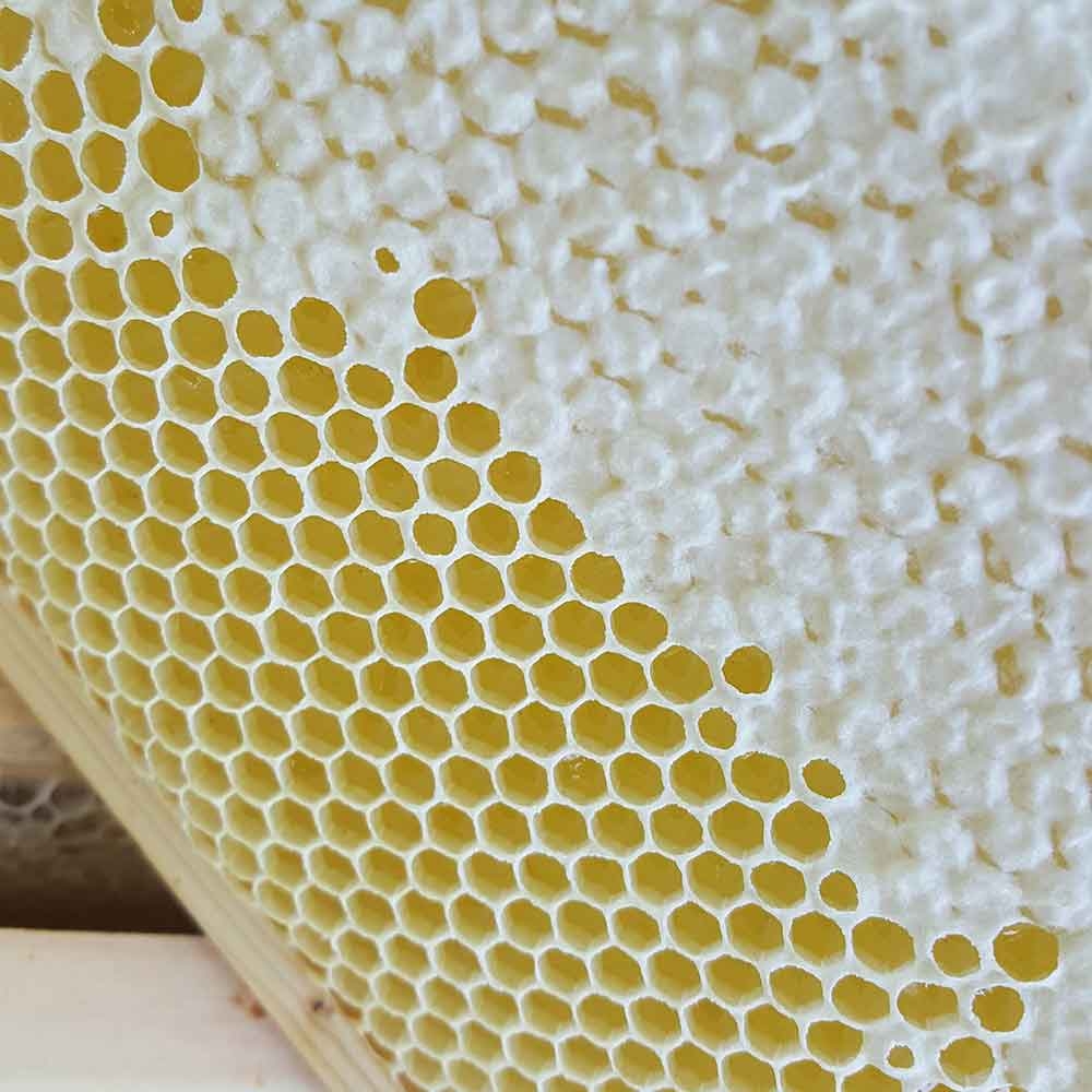 Honeycomb partly sealed