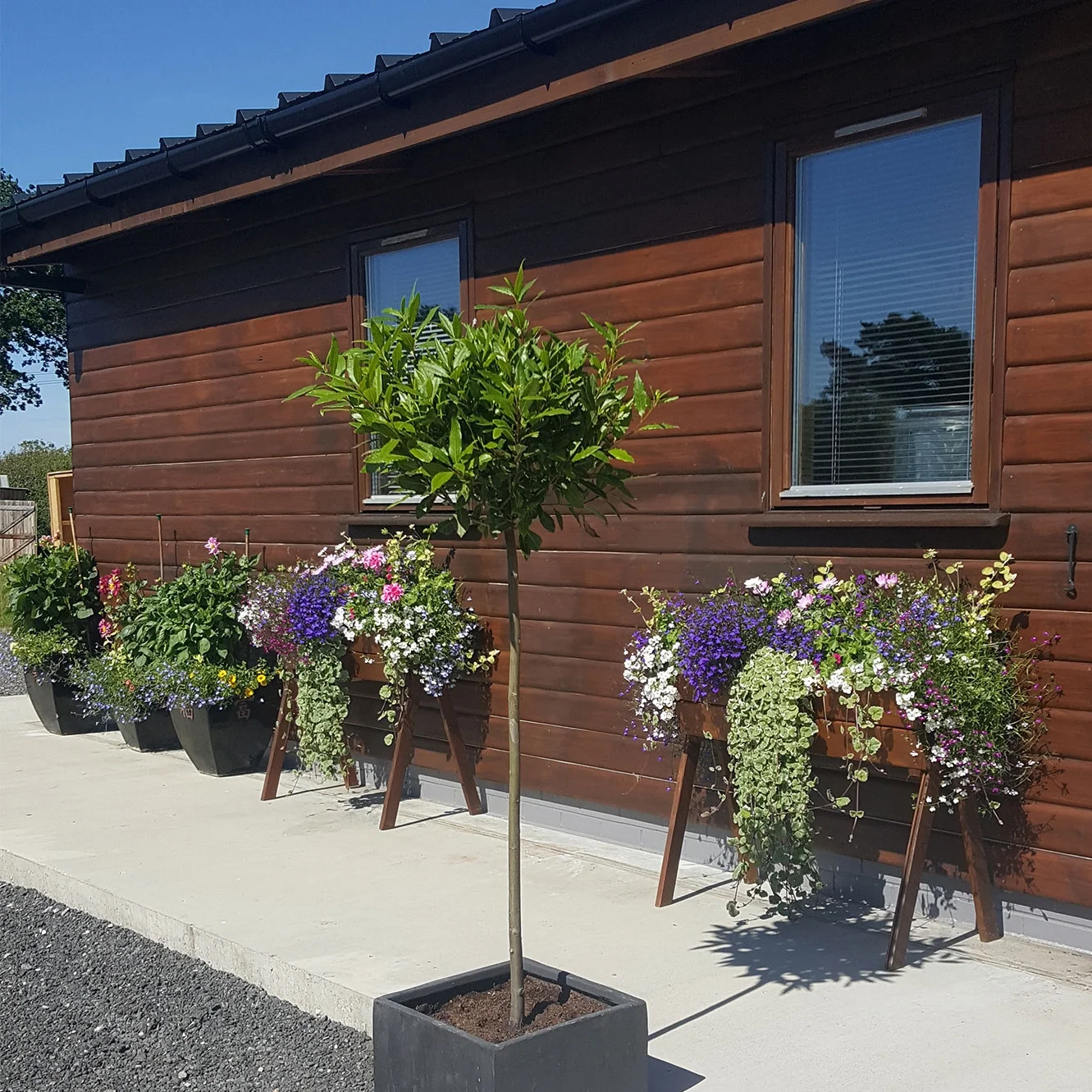 planters_flowers_distillery.jpg