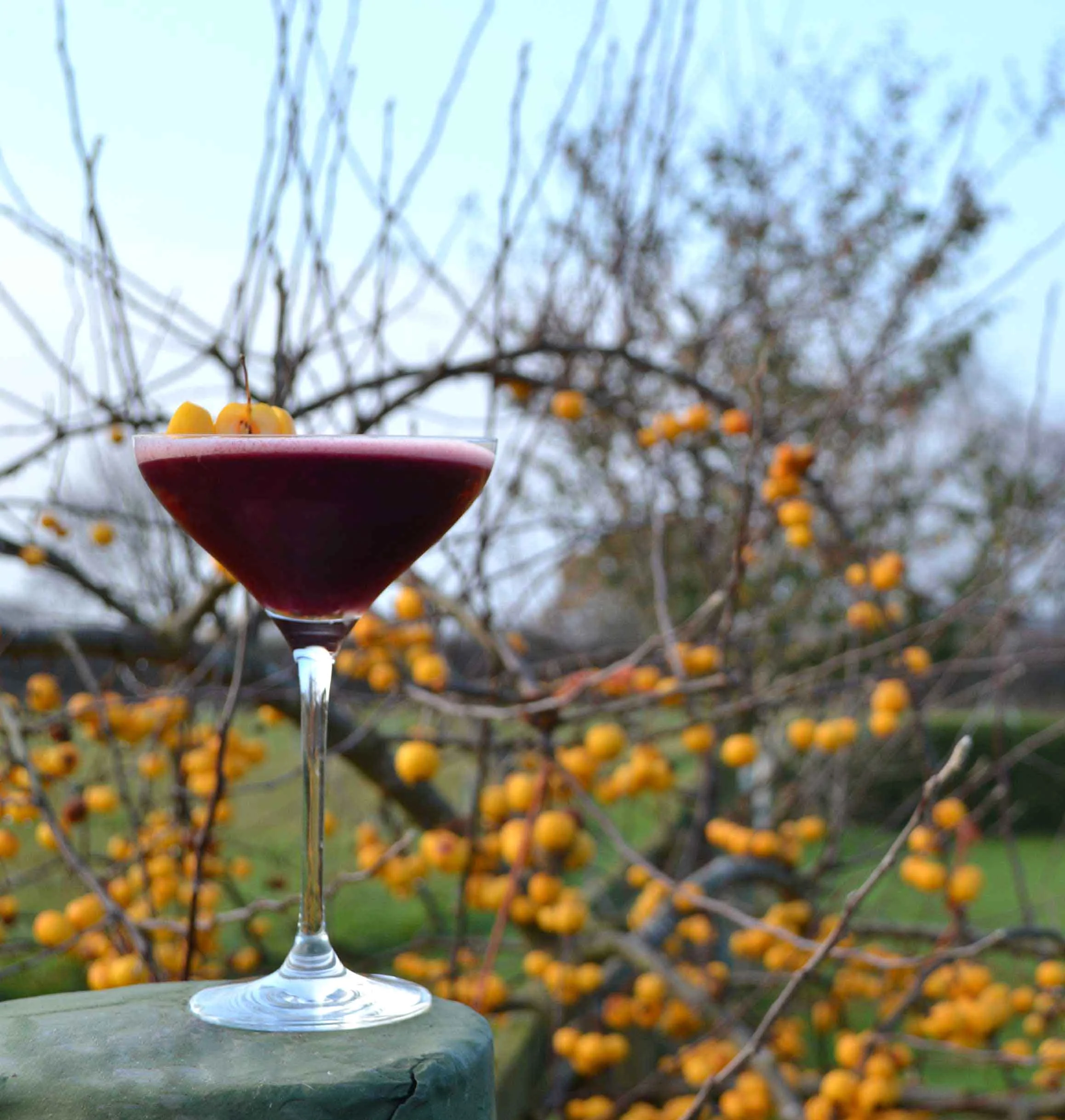 winter-solstice-yorkshire-gin-cocktail.jpg
