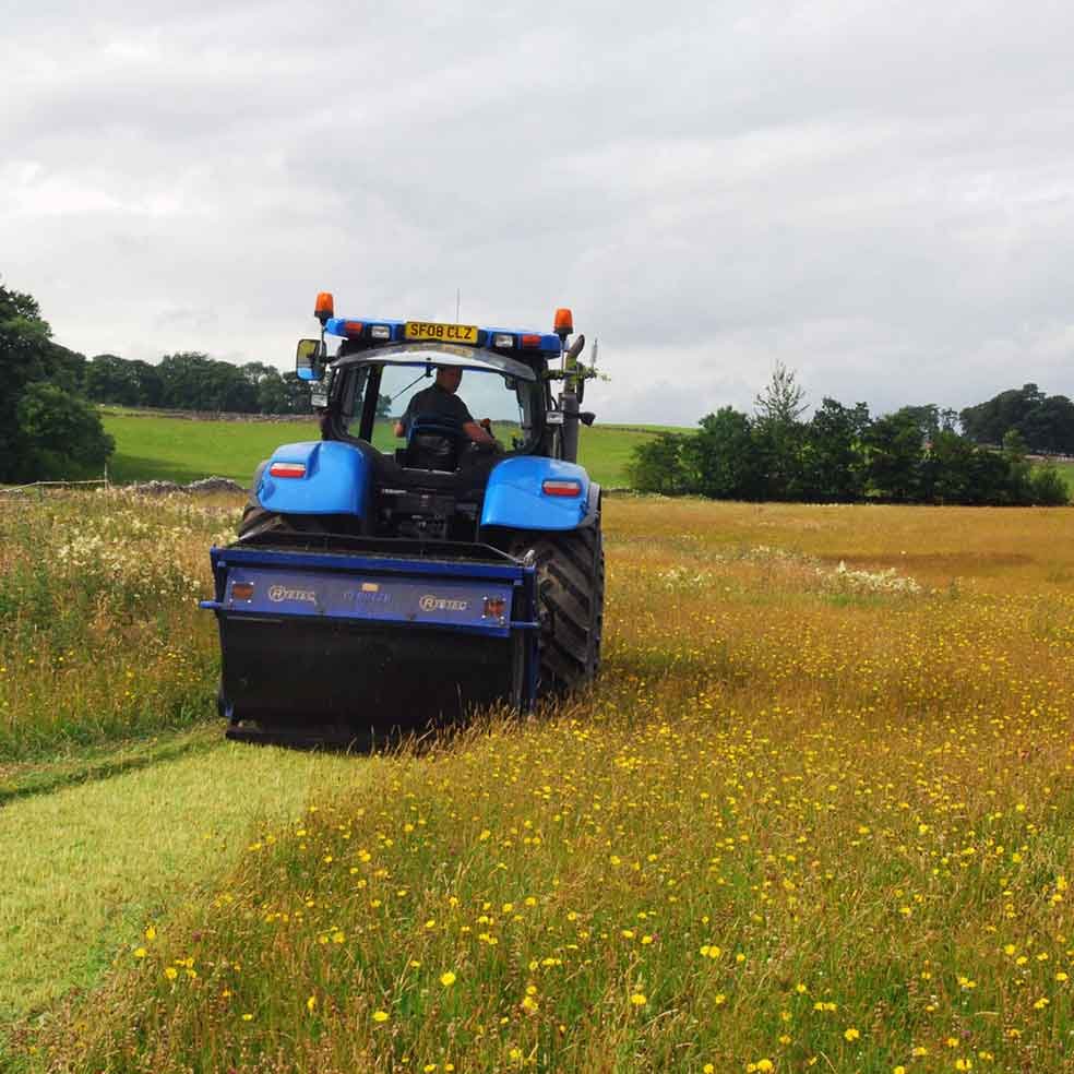 Annual Impact Report 2025